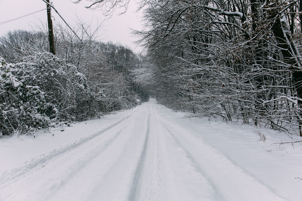 snow field