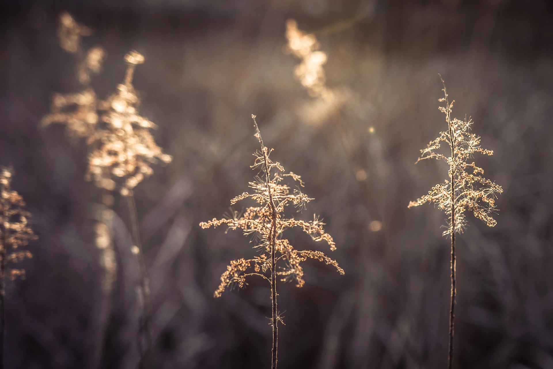 A delicate sculpture photographed against a soft, natural background highlighting its intricate details.