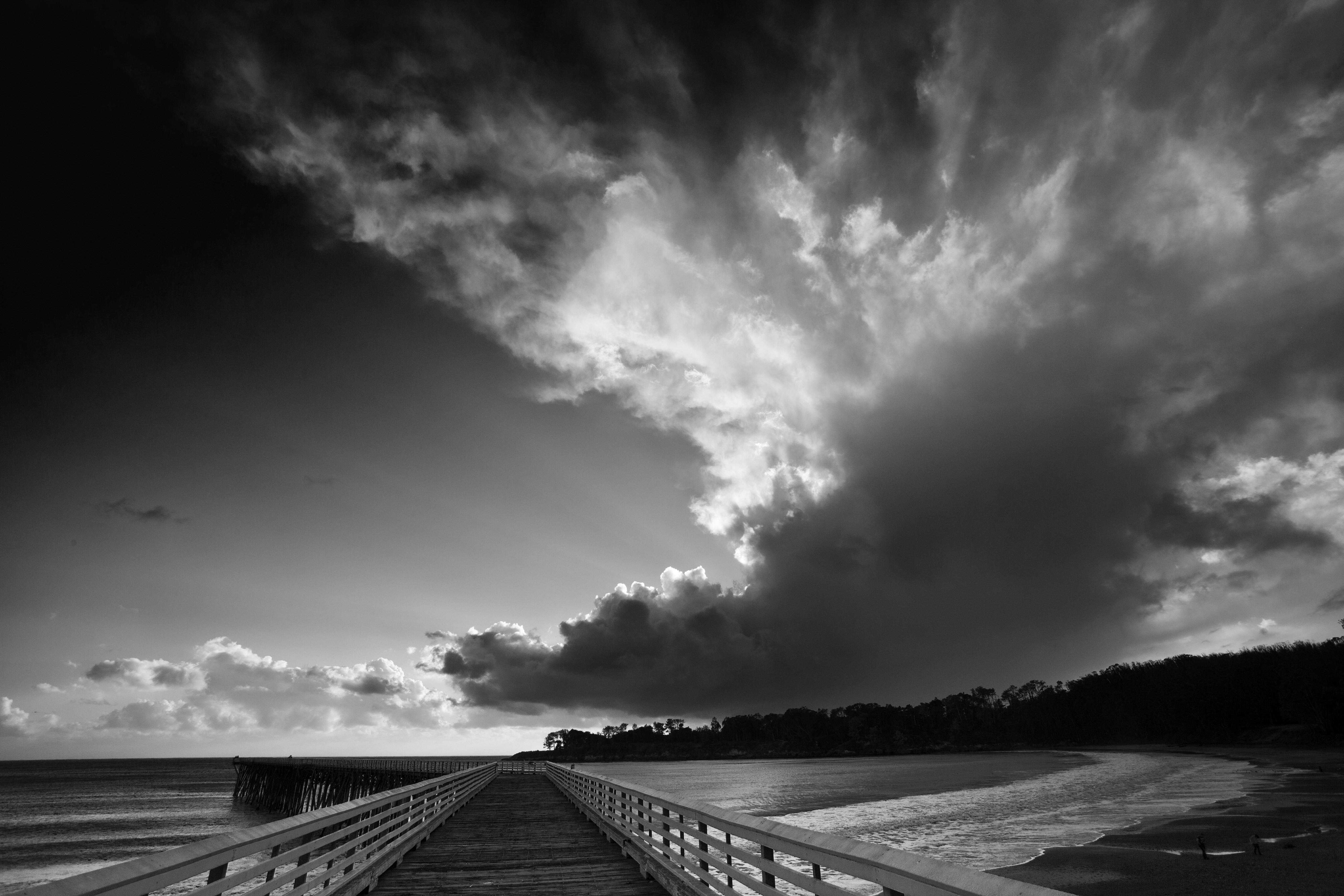 Free Unsplash photo from Cody Brown