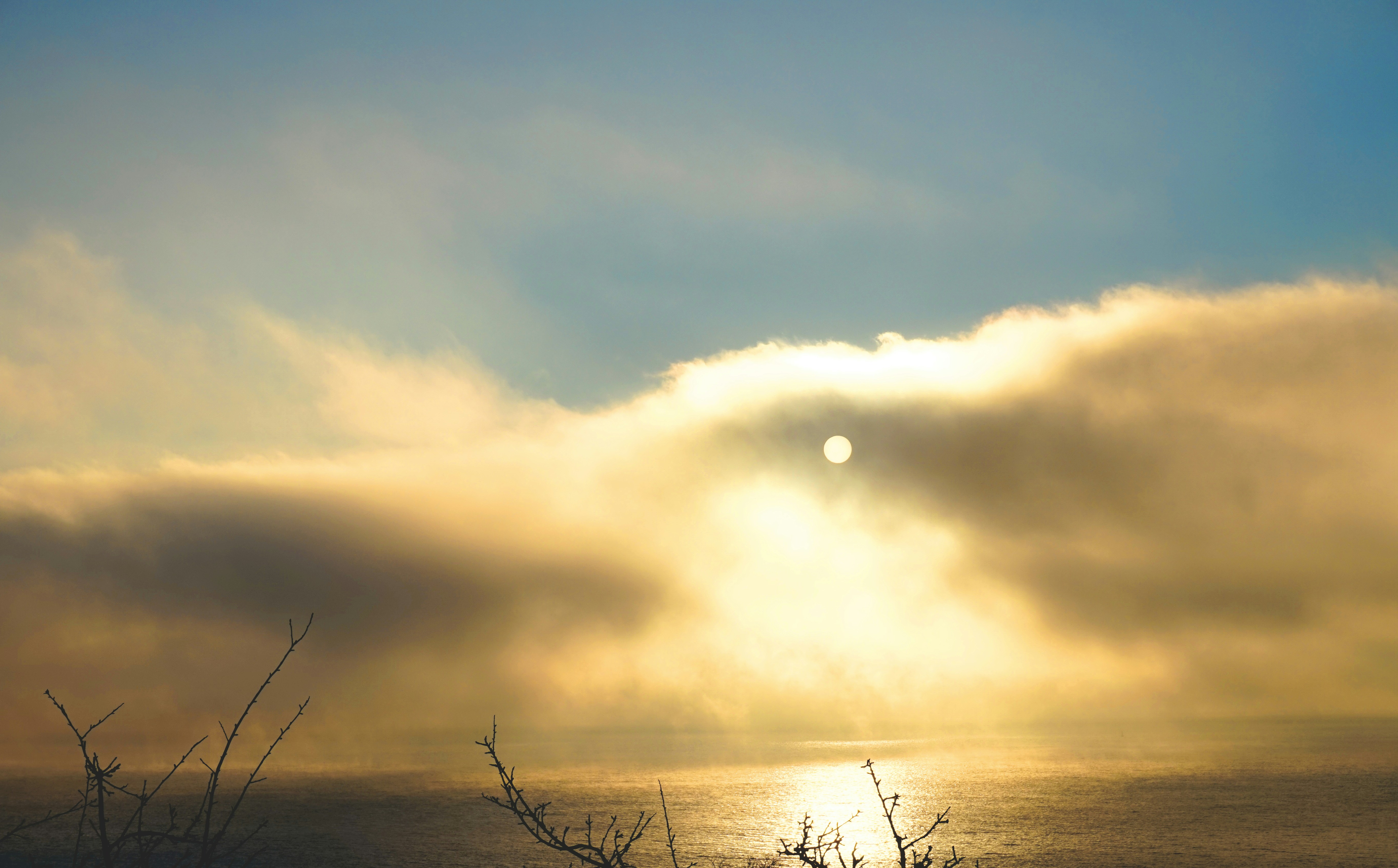 Free Unsplash photo from Sascha Lichtenstein