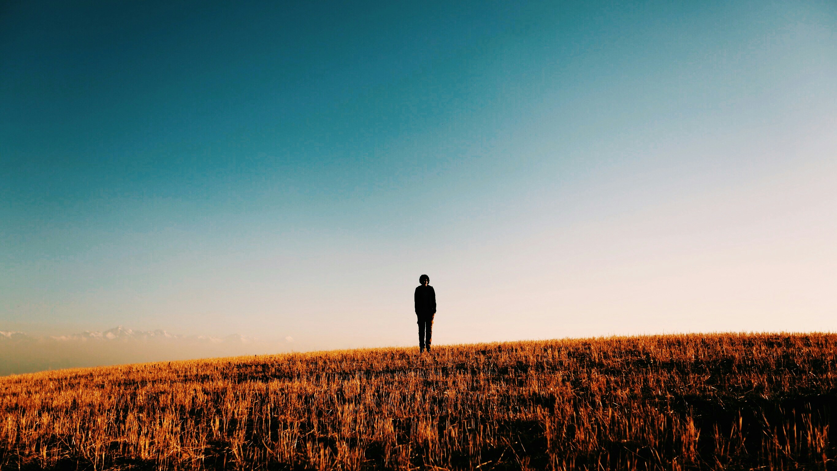 Free Unsplash photo from Baqbergen Atabayev