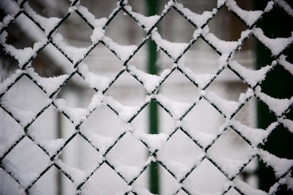 snow covered black steel fence