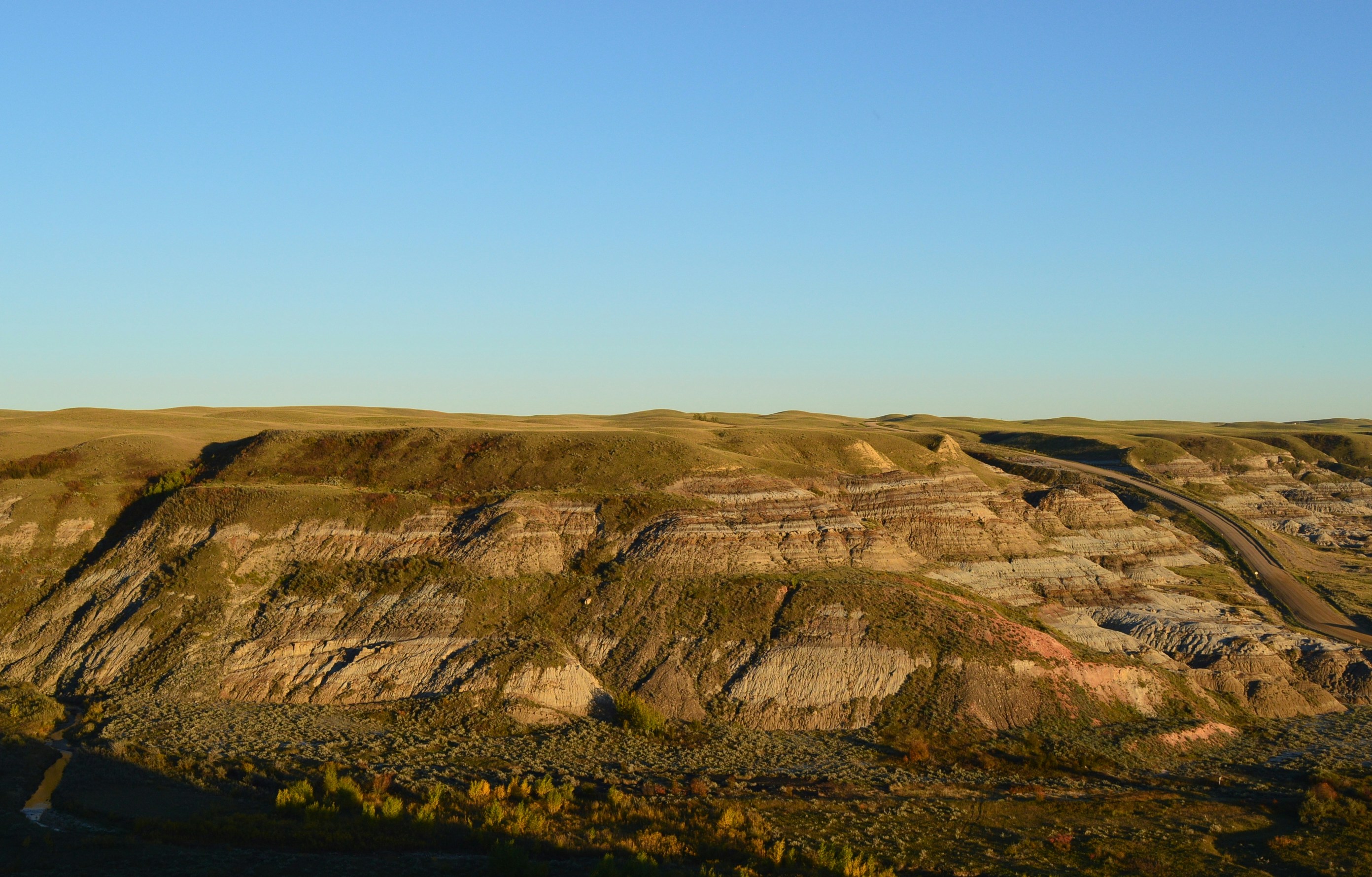 Free Unsplash photo from Carlos Contreras