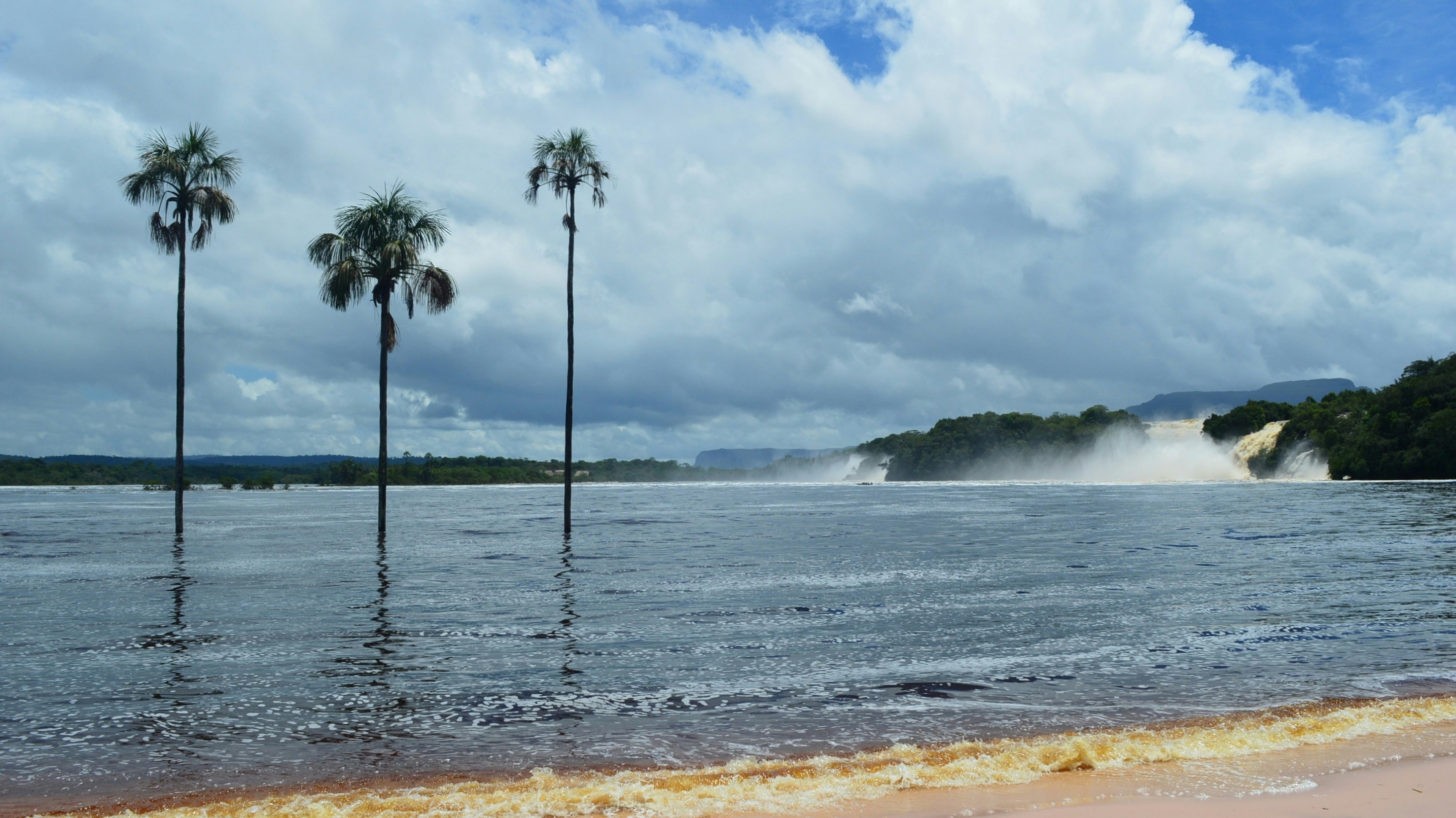 Free Unsplash photo from Carlos Contreras