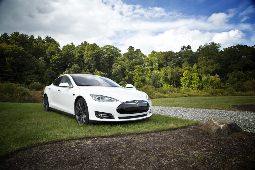 Tesla bianca parcheggiata sul prato dell'erba verde durante il giorno
