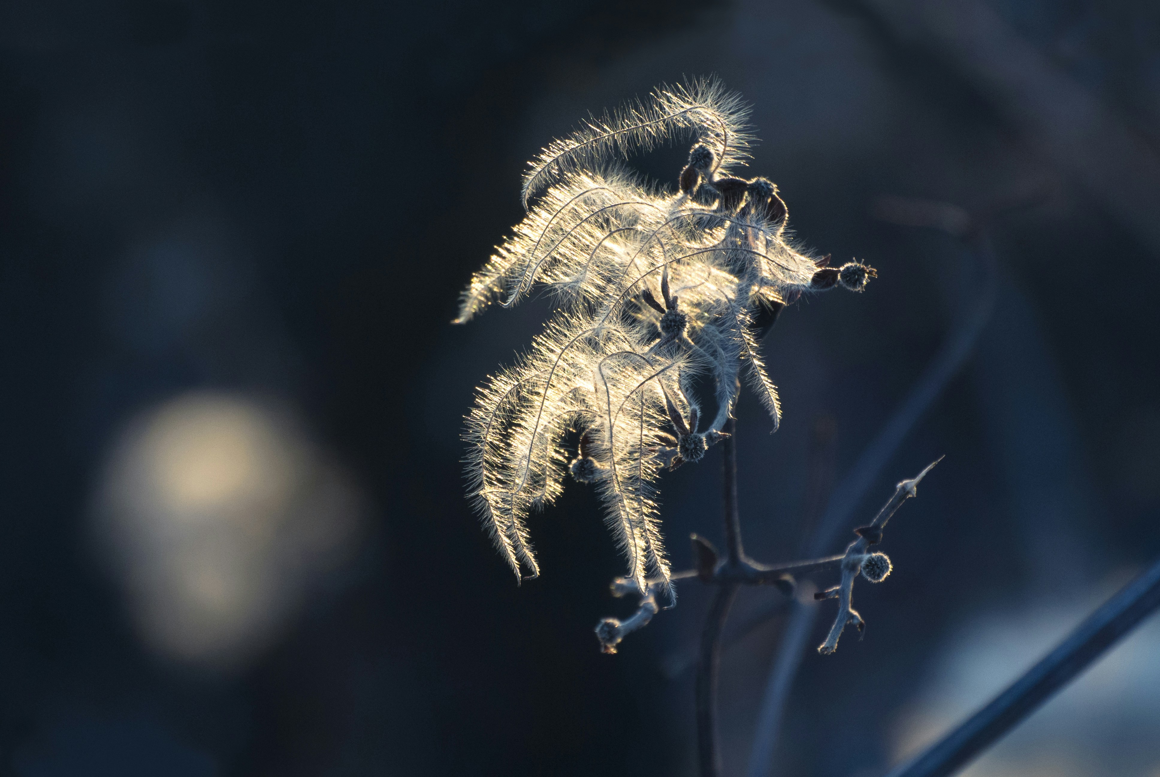 Free Unsplash photo from Jonathan Pielmayer