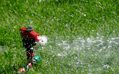 A sprinkler is watering a lush green lawn, with droplets of water visibly spraying in different directions. The red and black sprinkler is positioned on the grass, and the water creates a refreshing, shimmering effect in the sunlight.