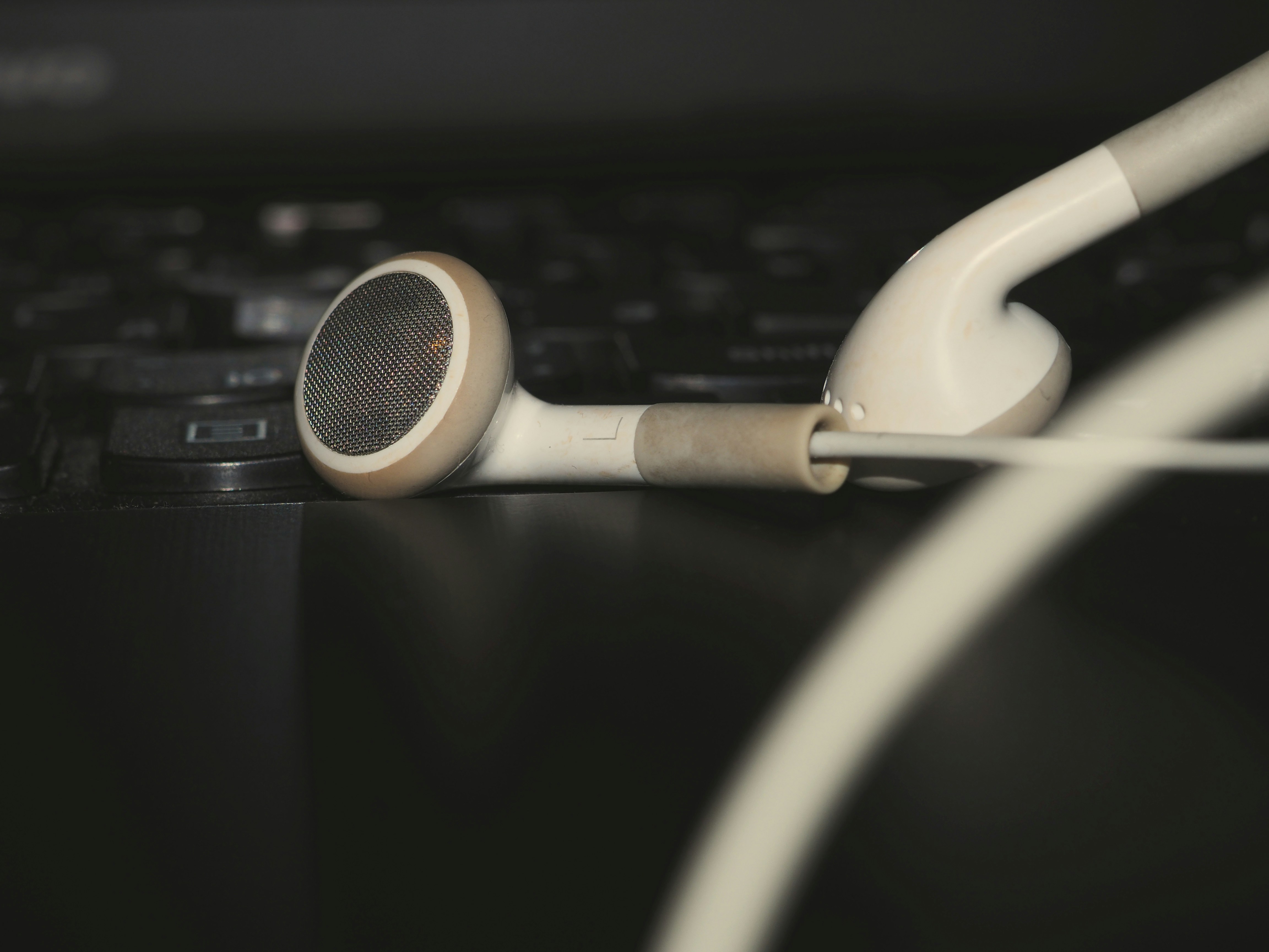 Free Unsplash photo from Anastasia Zhenina