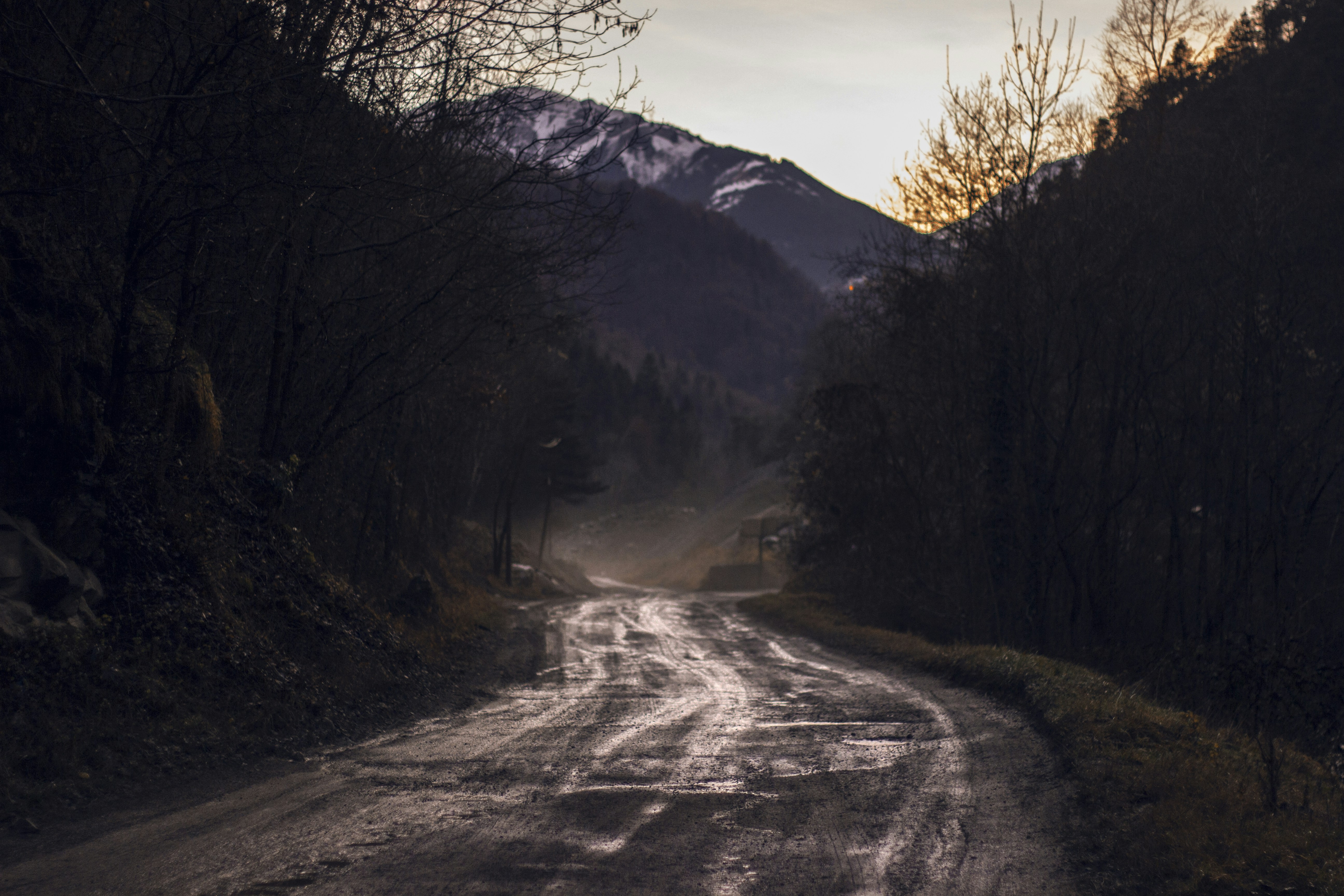 Photo By Colin McMurry