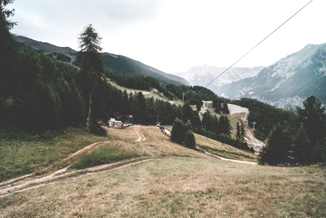 green pine trees near house, Sliding on a zipline
