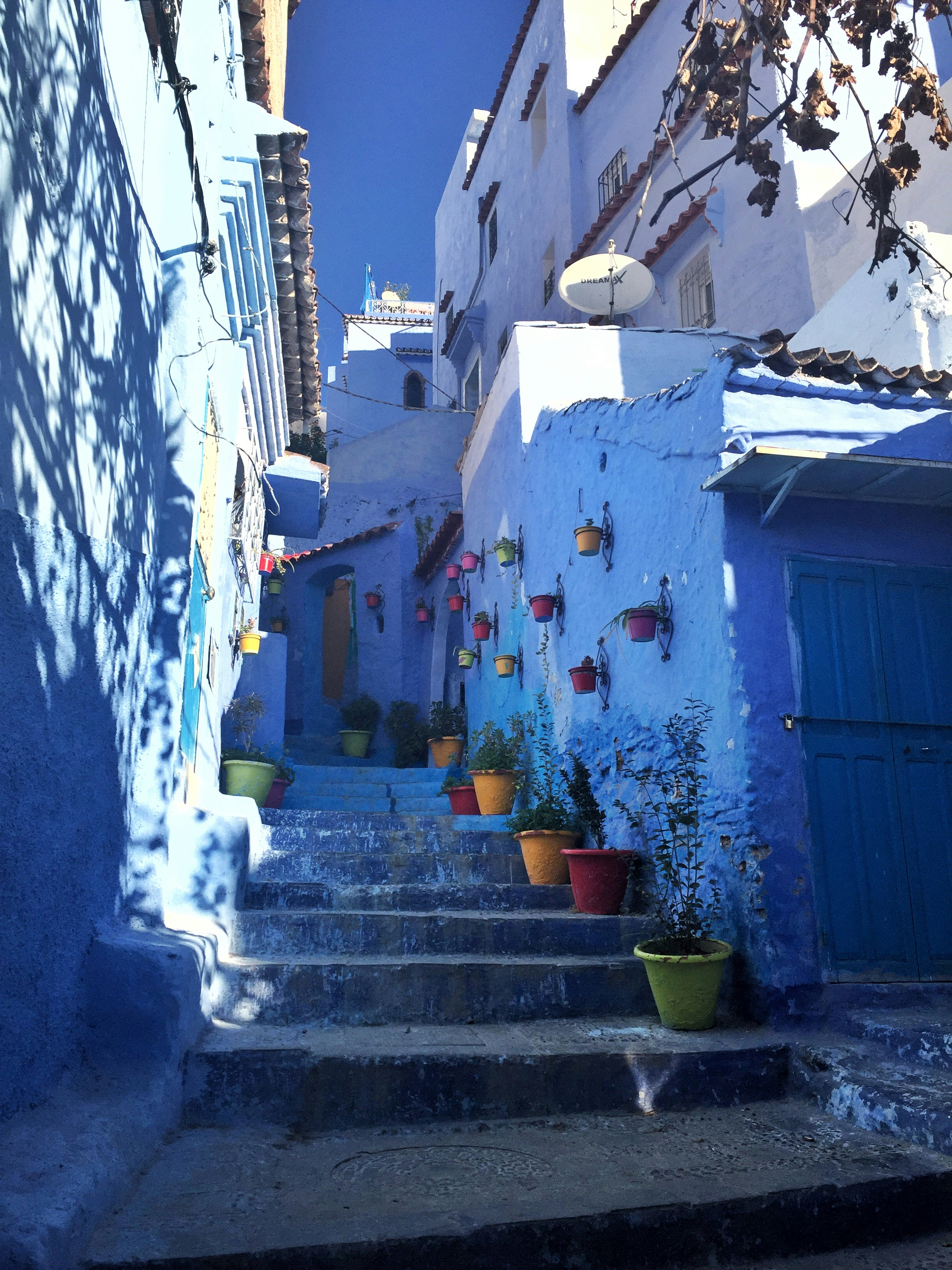 Free Unsplash photo from Eloi Collelldemont