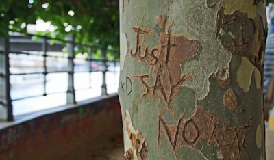 shallow focus photography of just say no carved on tree trunk carve zoom background