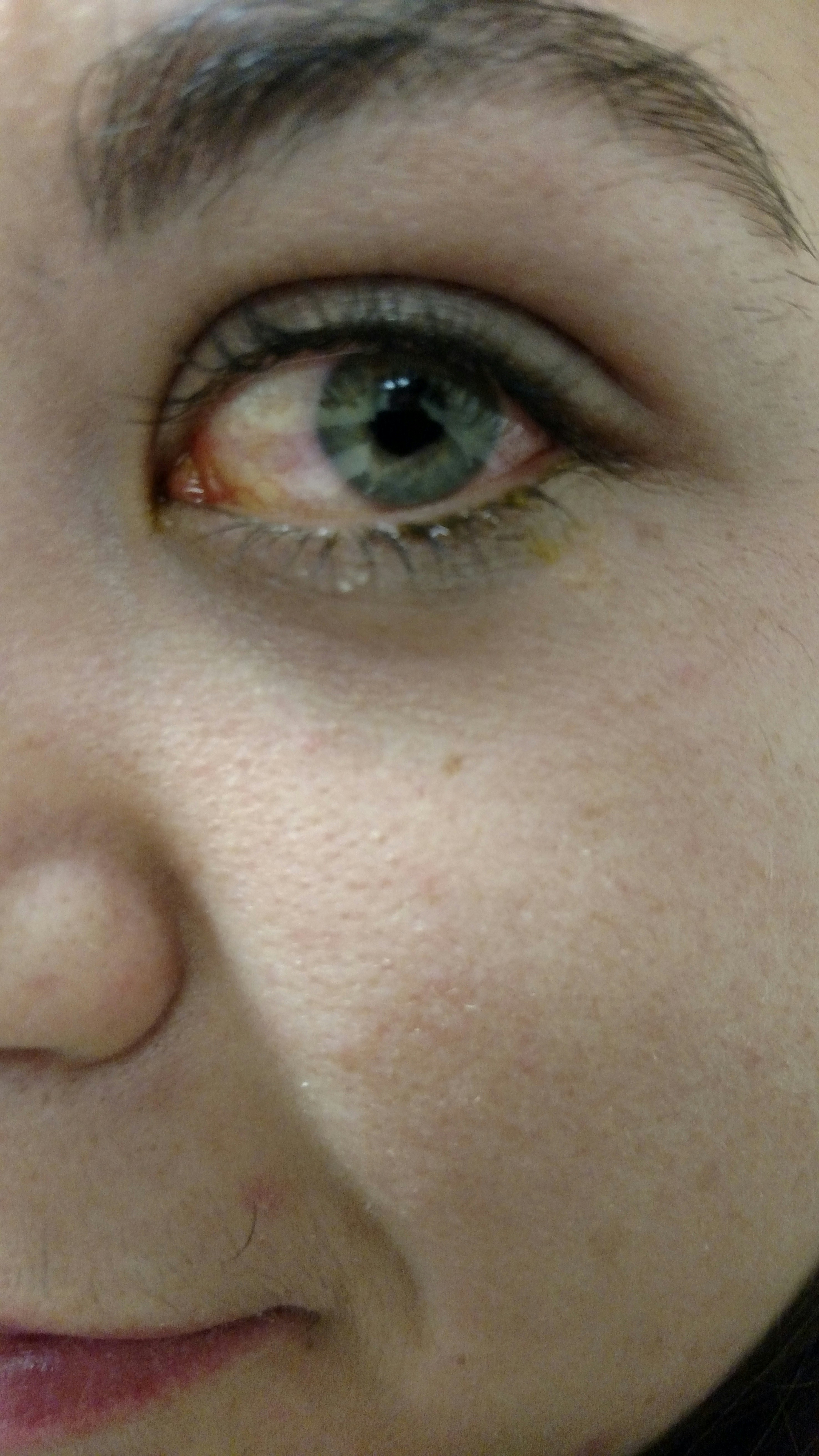 Free Unsplash photo from Ethan Hale