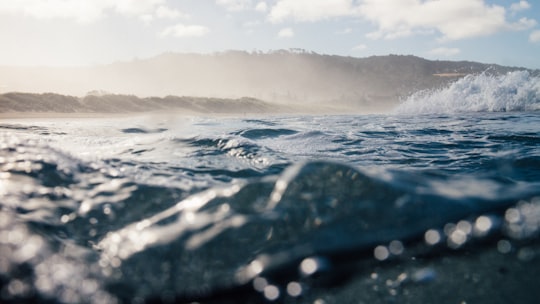 body of water in Muriwai Beach New Zealand