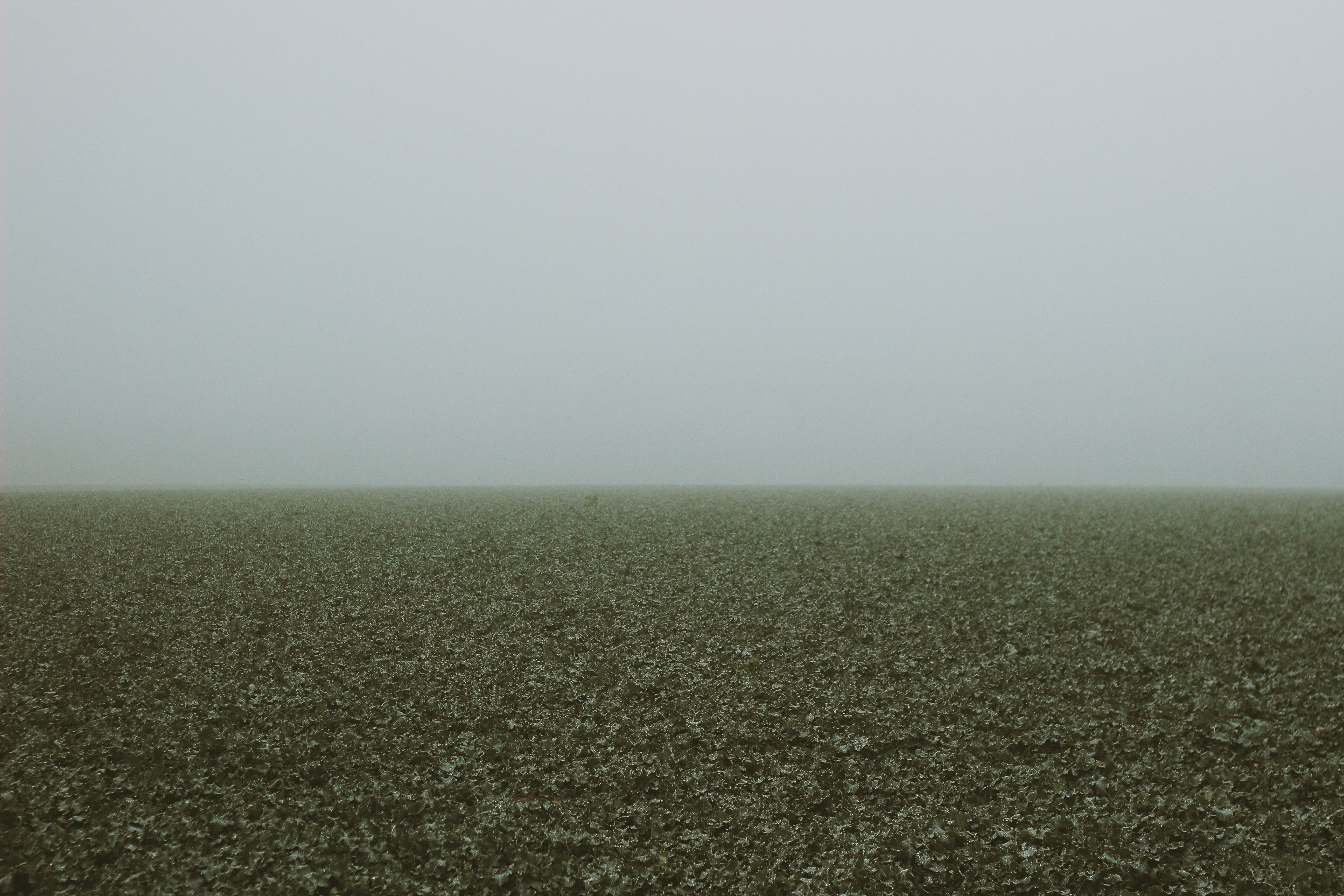 Free Unsplash photo from Kai Brune