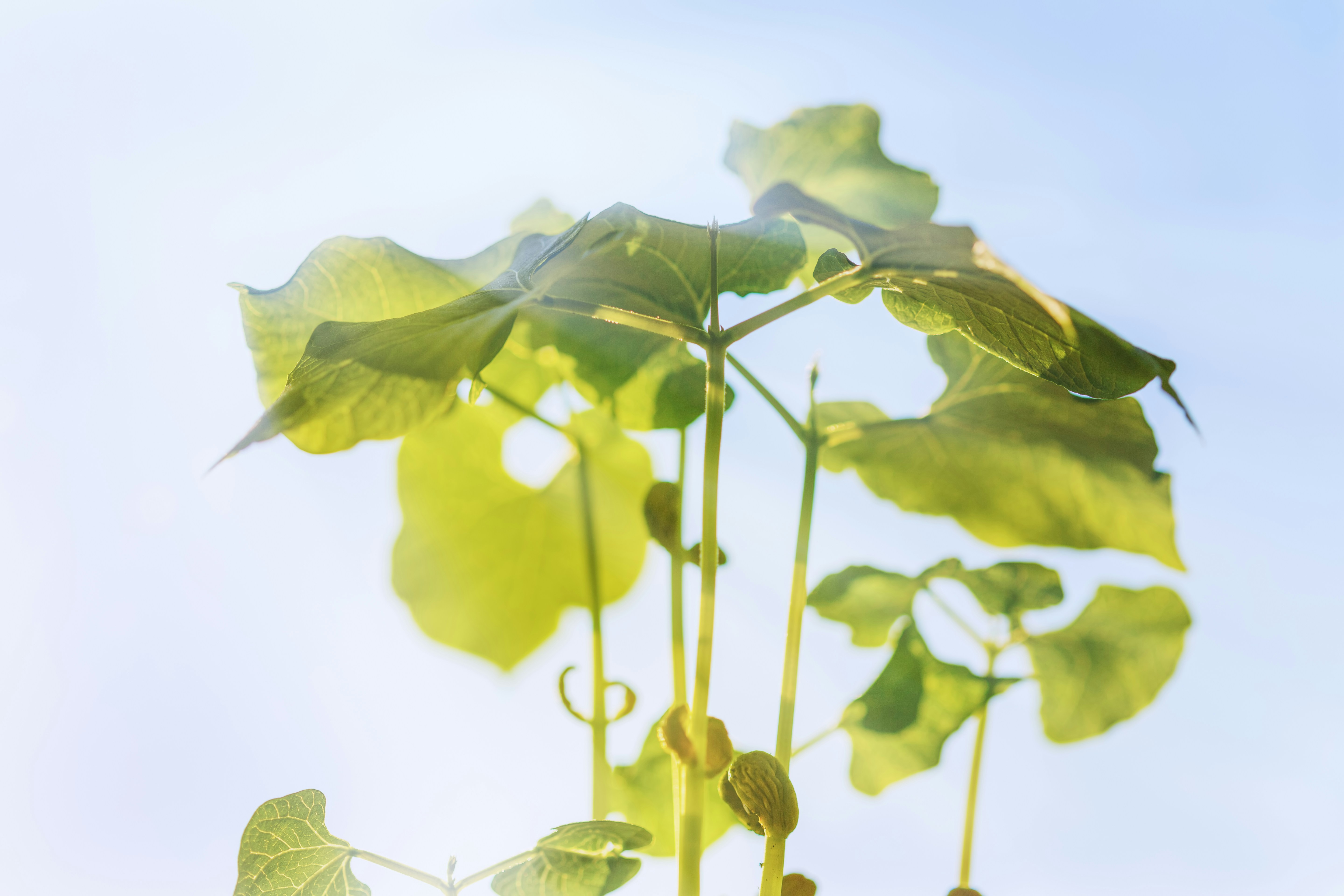 Free Unsplash photo from Dmytro Ostapenko