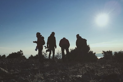 silhouette of four men standing near green plant
