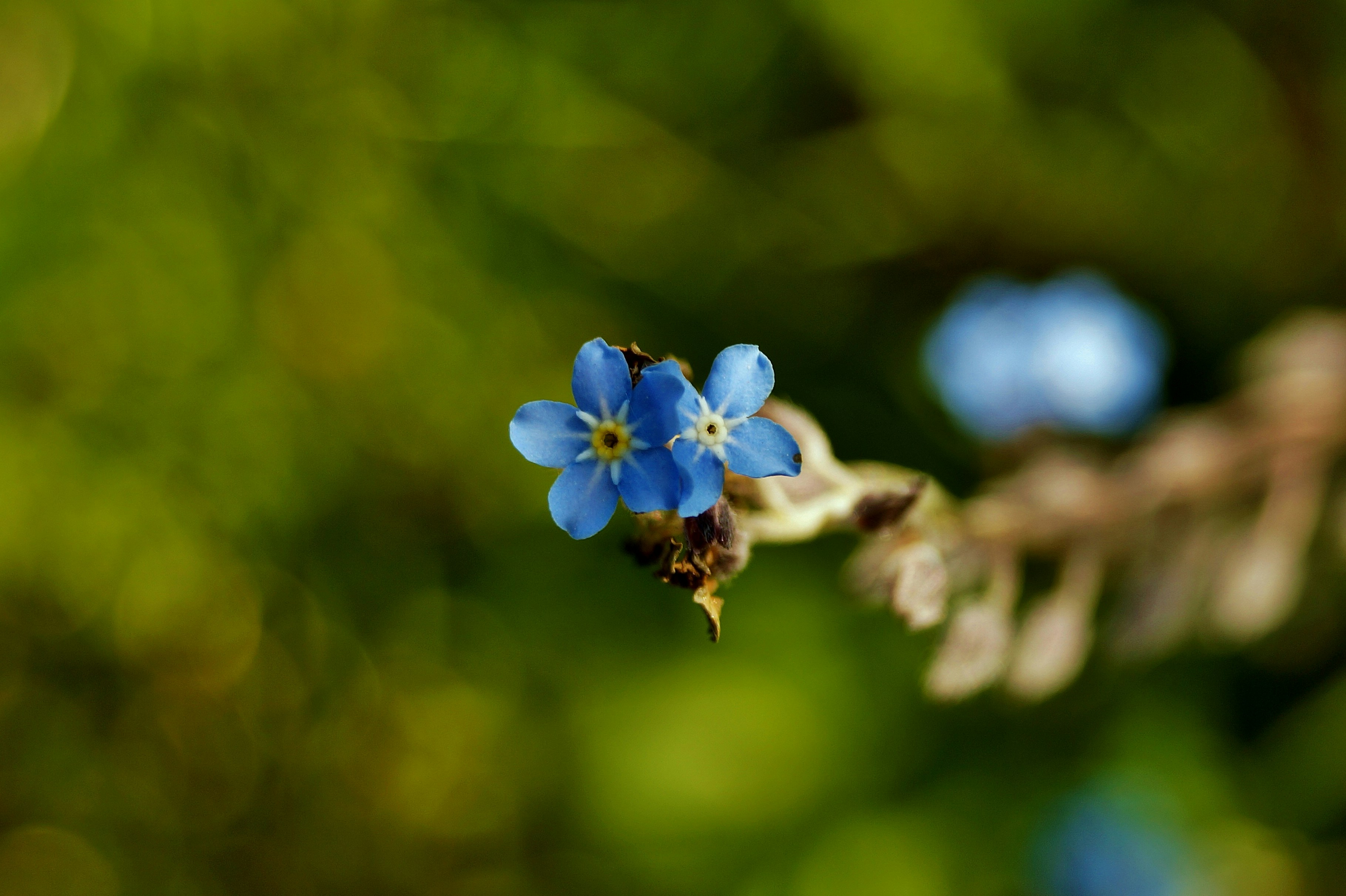 Free Unsplash photo from Oliwia G