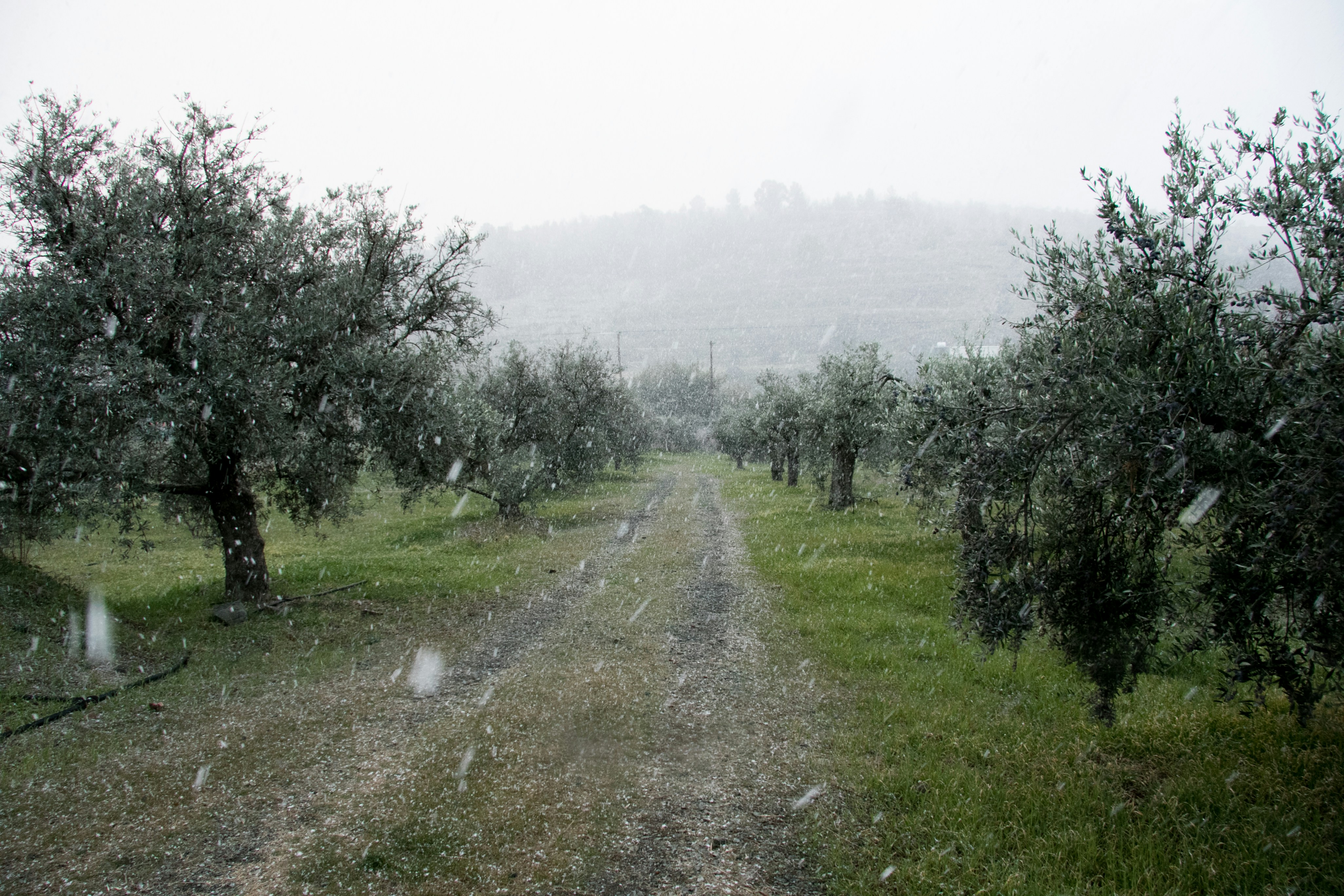 Free Unsplash photo from Despo Potamou