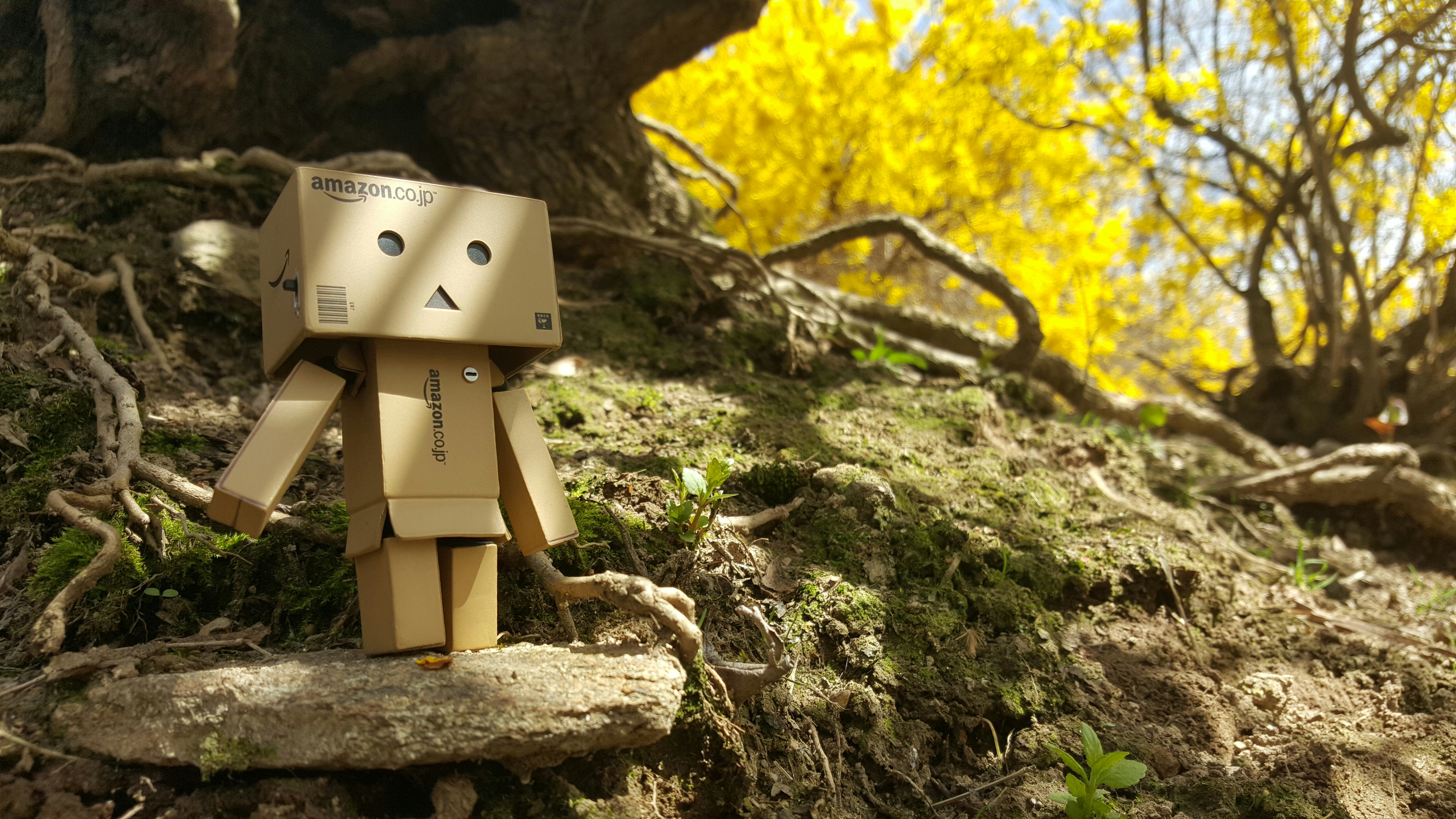 Free Unsplash photo from Nelson Wu