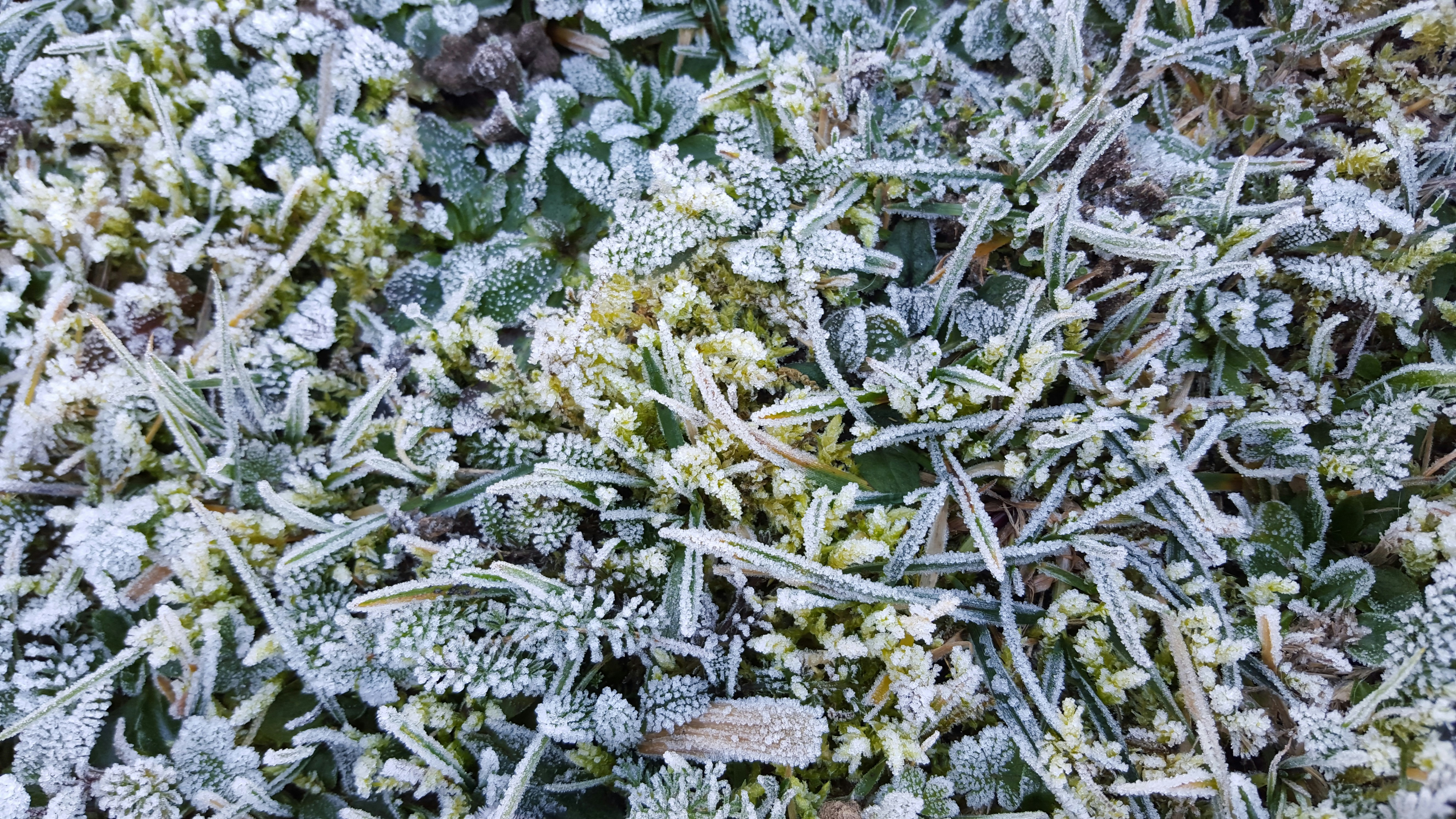 Free Unsplash photo from Riyad Ounallah