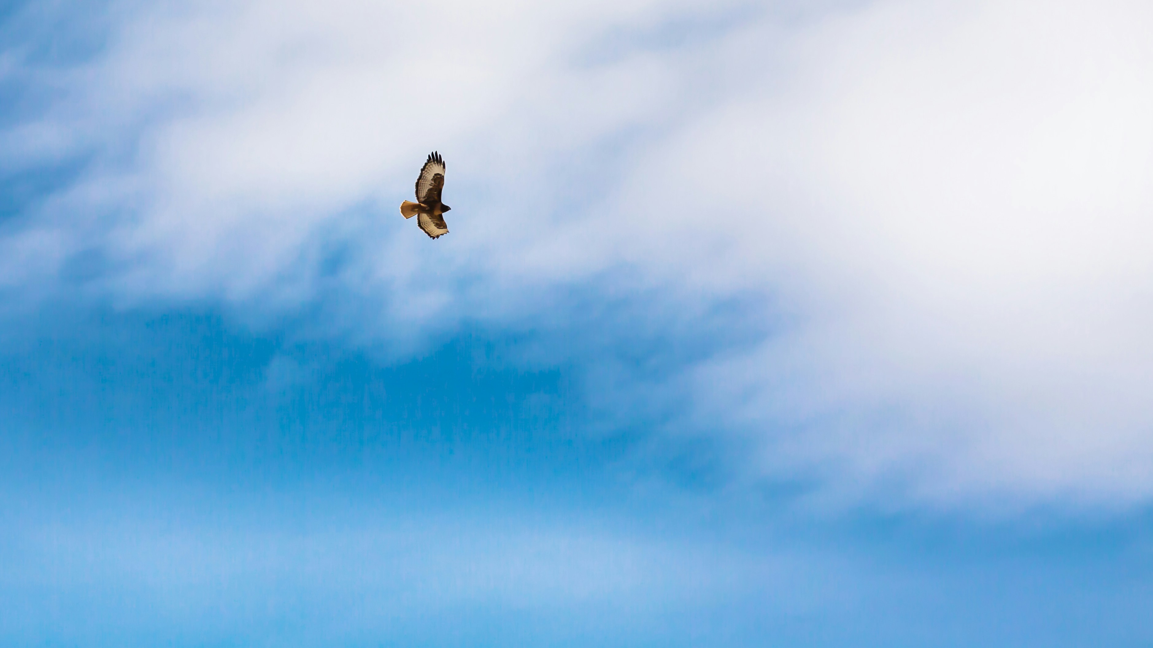 Free Unsplash photo from Eun-Kwang Bae