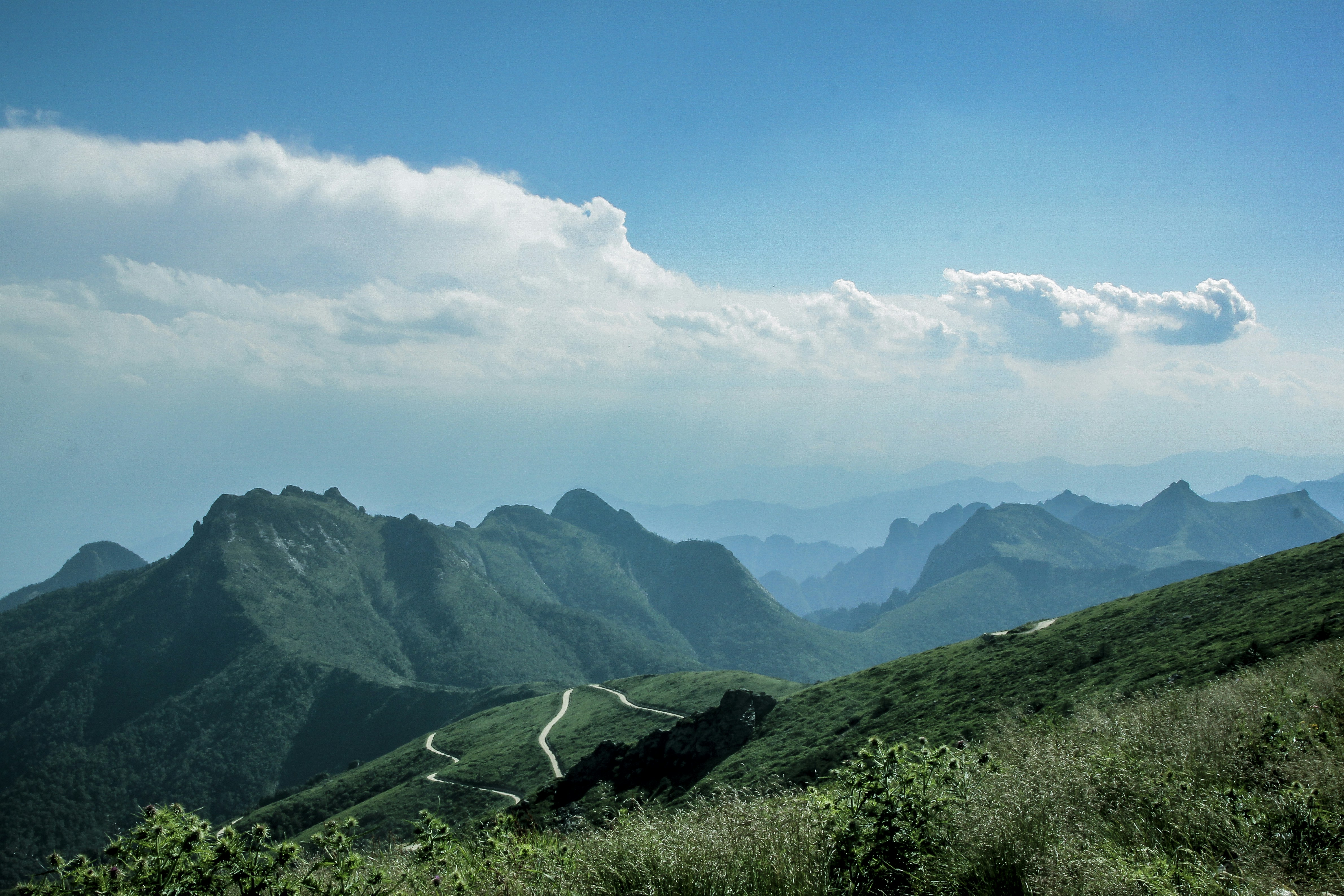 Free Unsplash photo from Yuyang Liu