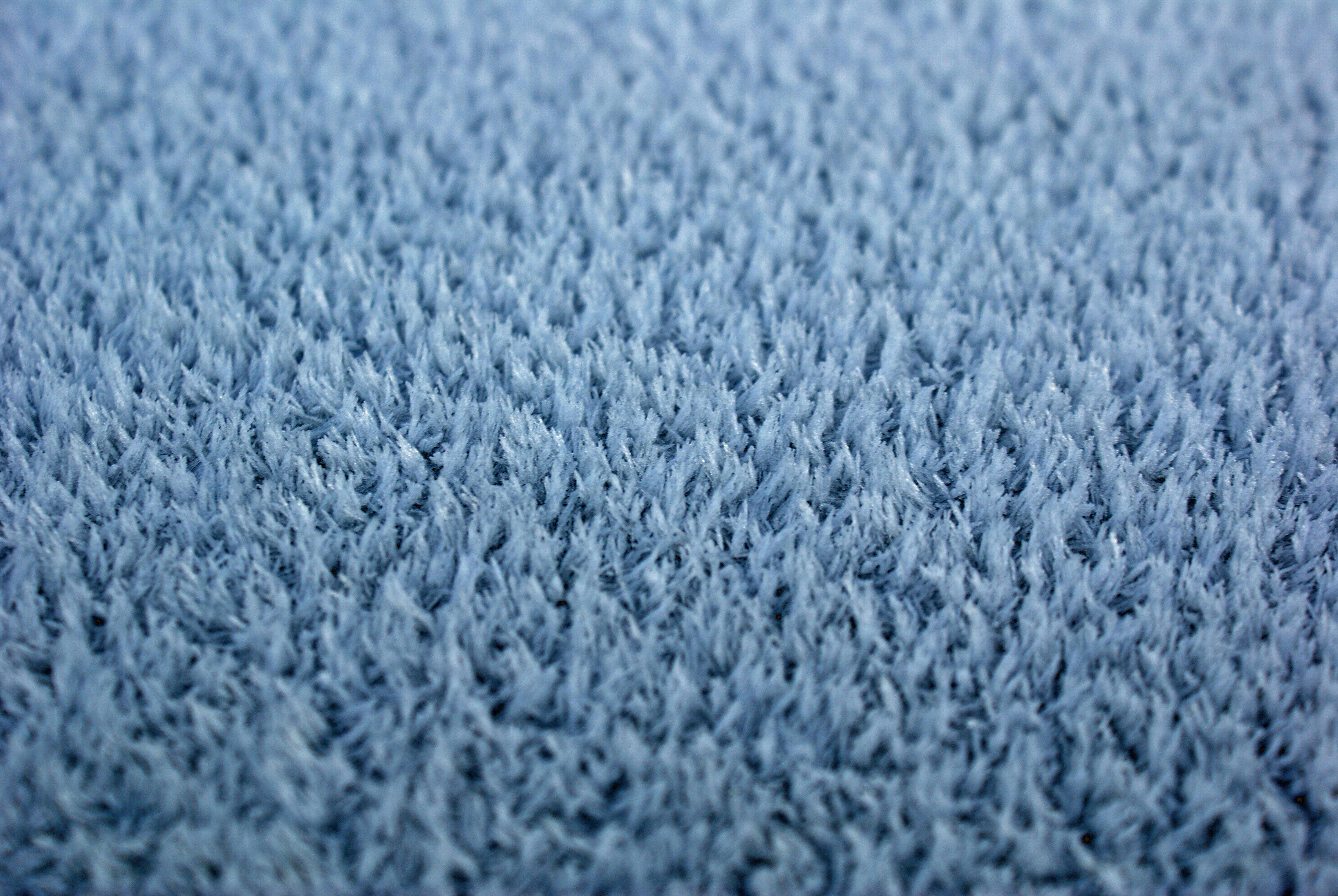 Cozy Plush Area Rug