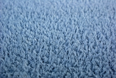 Luxurious wool carpet with a soft and inviting appearance.