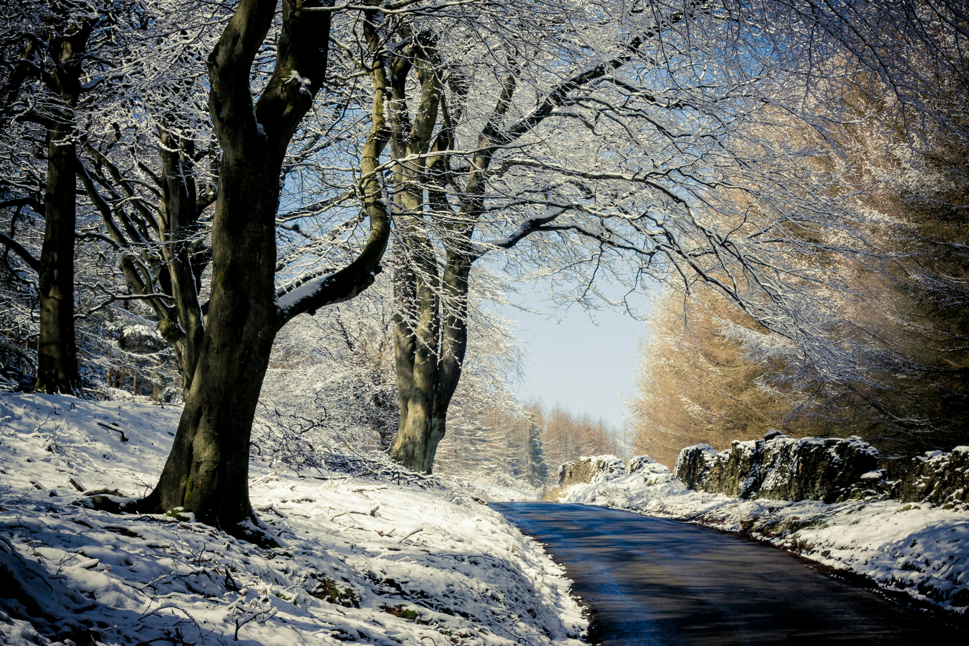 Free Unsplash photo from Alex Simon