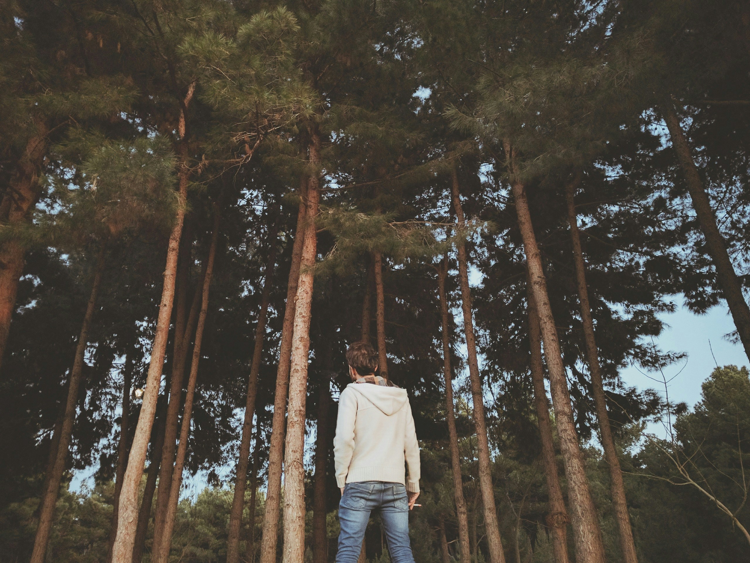 Free Unsplash photo from mohammad alizade