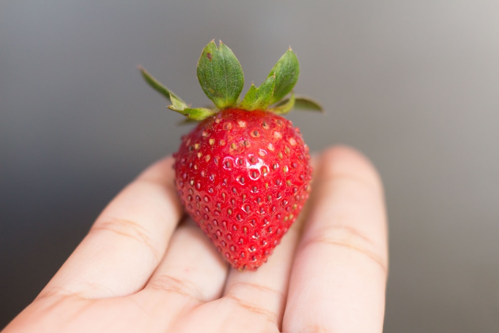 person with red strawberry fruit on hand