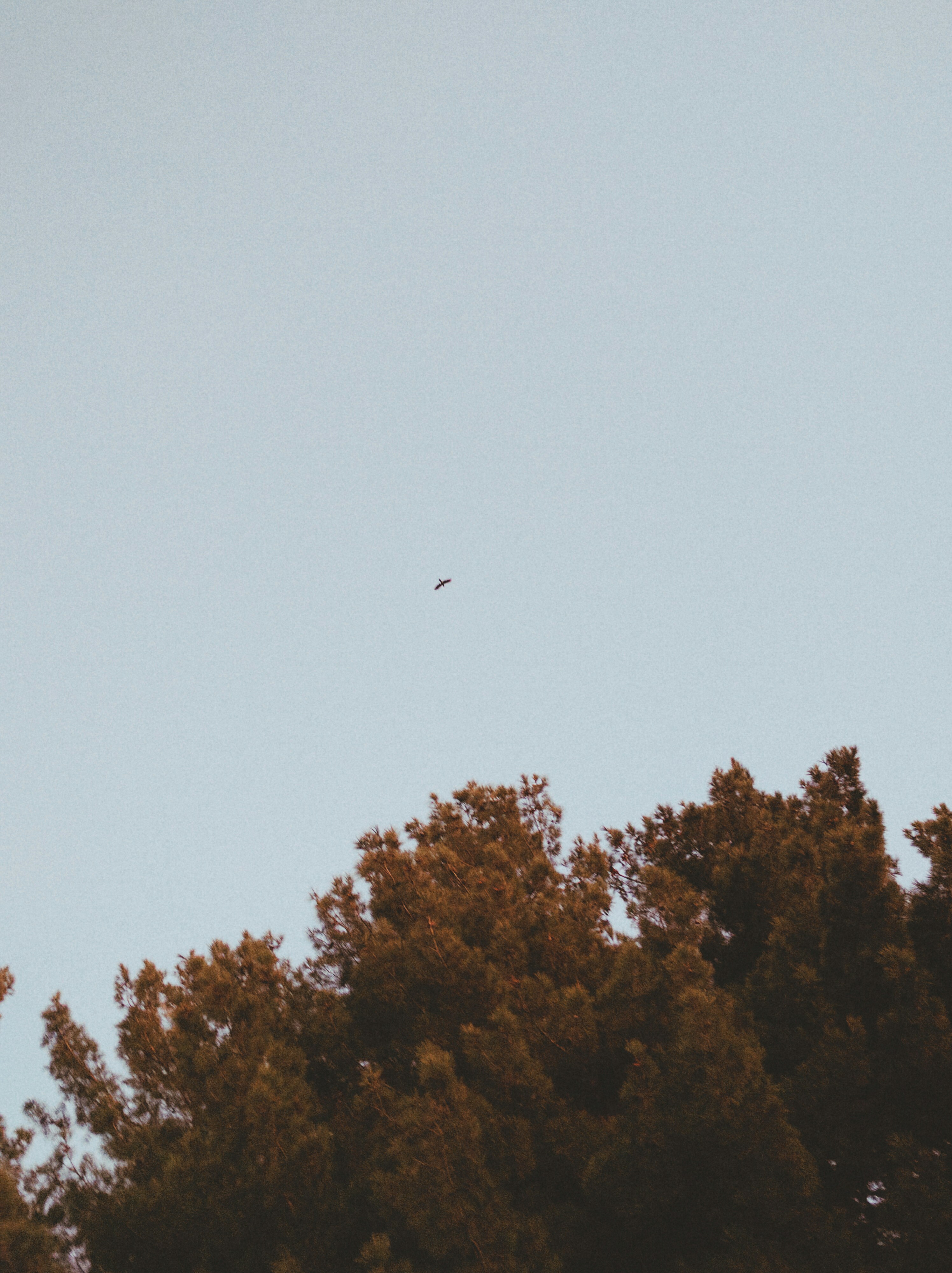 Free Unsplash photo from mohammad alizade