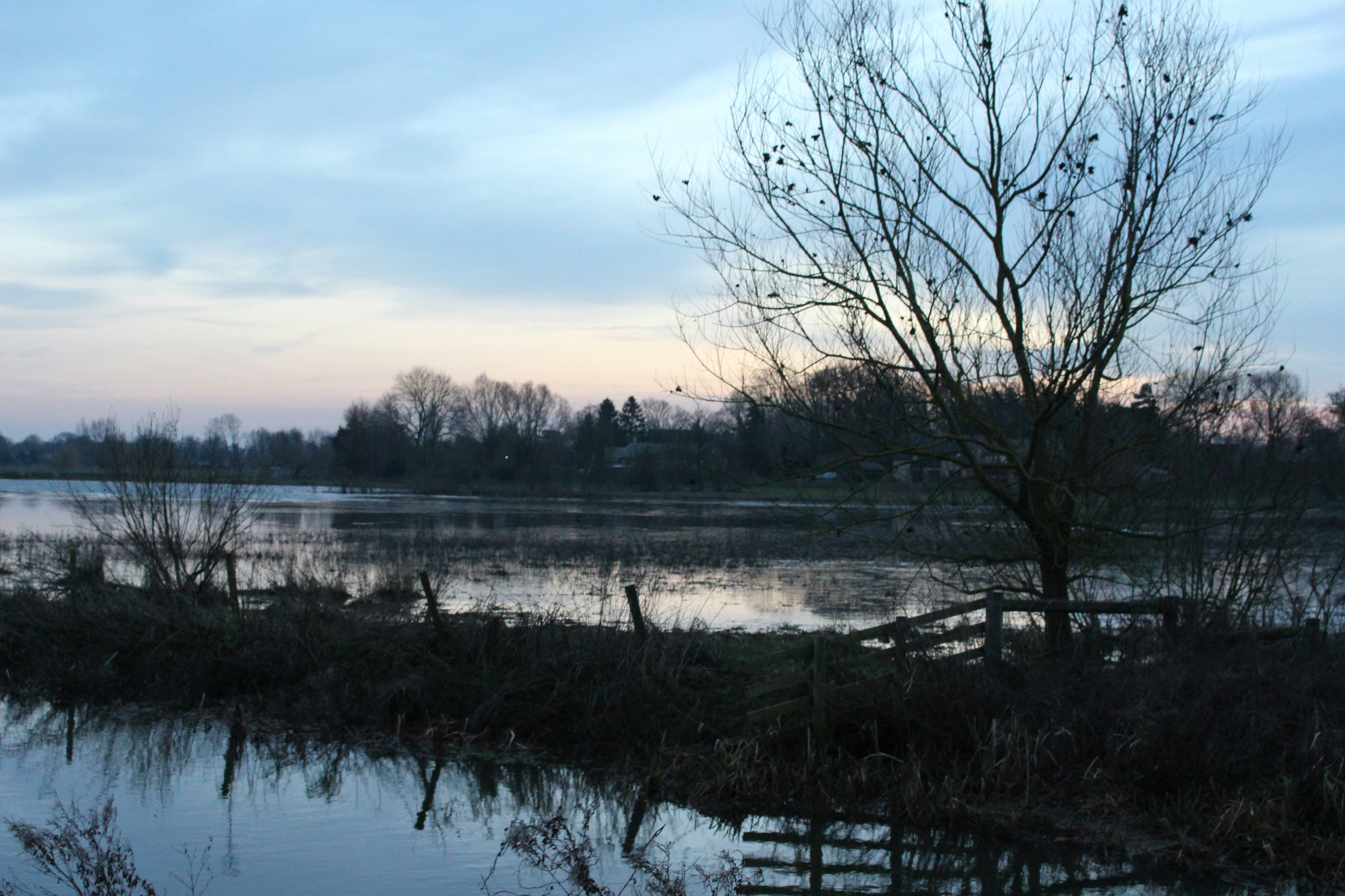 Free Unsplash photo from Emily Morter