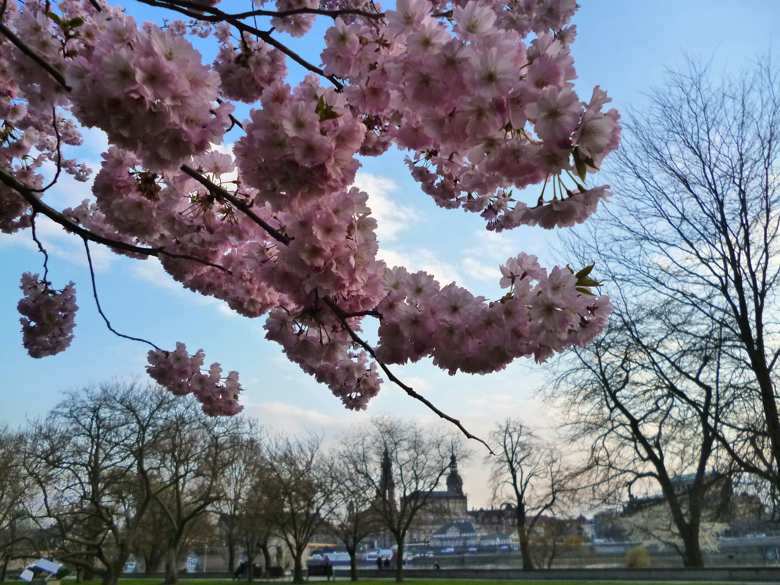 Free Unsplash photo from Jana Benke