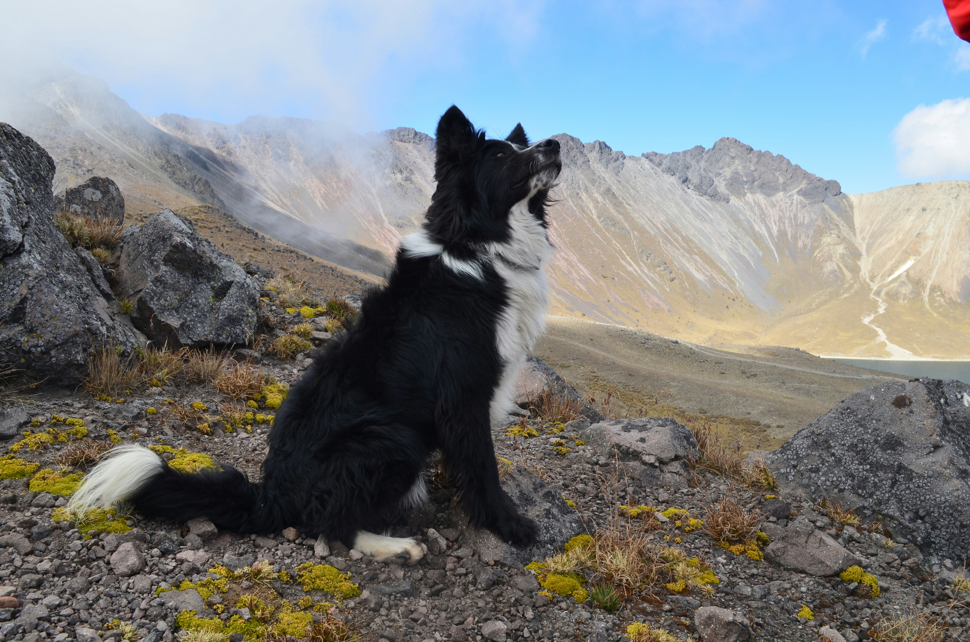 Free Unsplash photo from Eduardo Sanchez