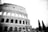 A black-and-white image featuring the Colosseum in Rome, showcasing its ancient arched architecture. A crowd of people is gathered in front of the monument. There are tall trees visible on the right side, adding contrast to the stone structure.