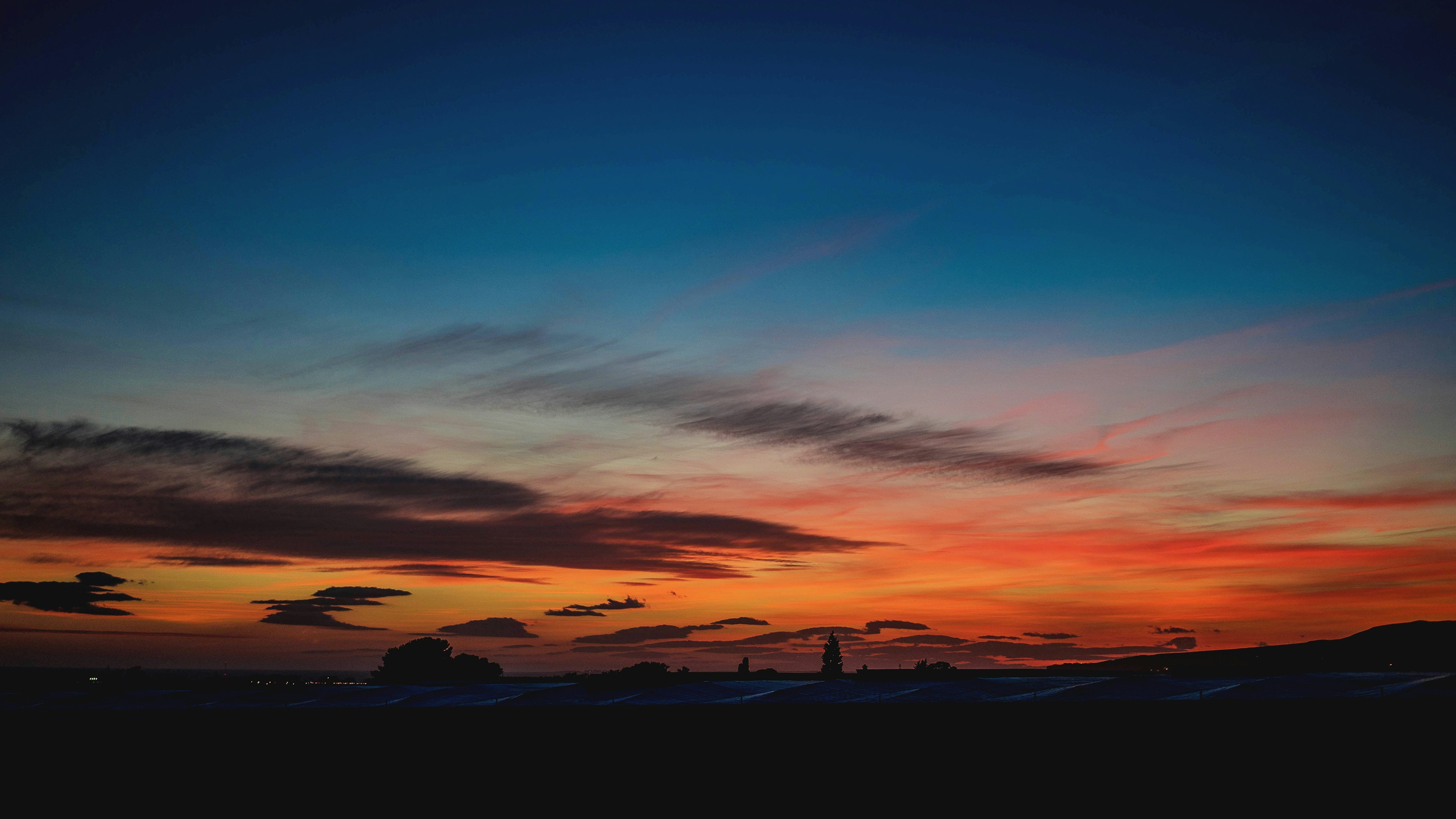 Free Unsplash photo from Irene Dávila