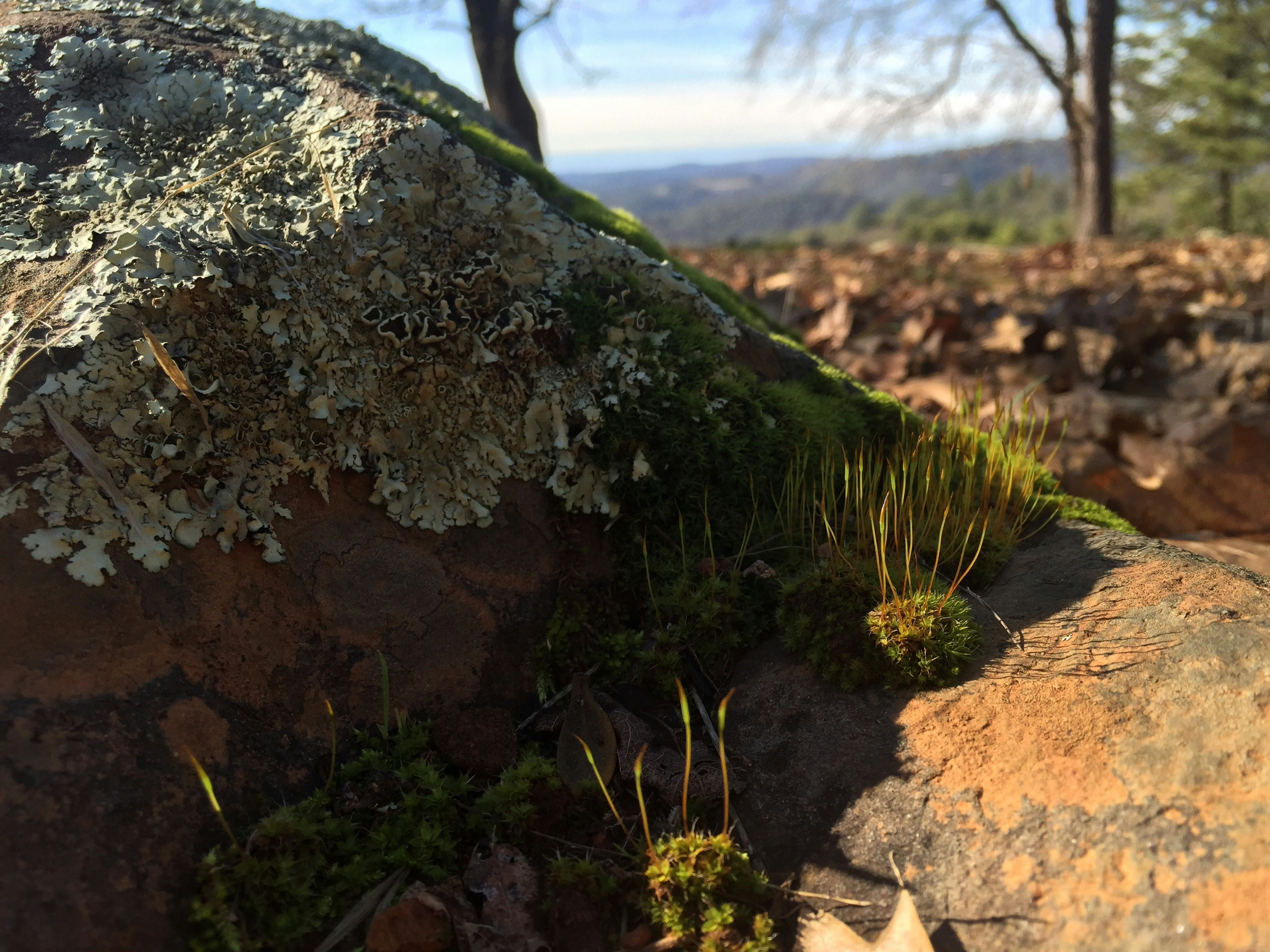 Free Unsplash photo from Cassie Redfern