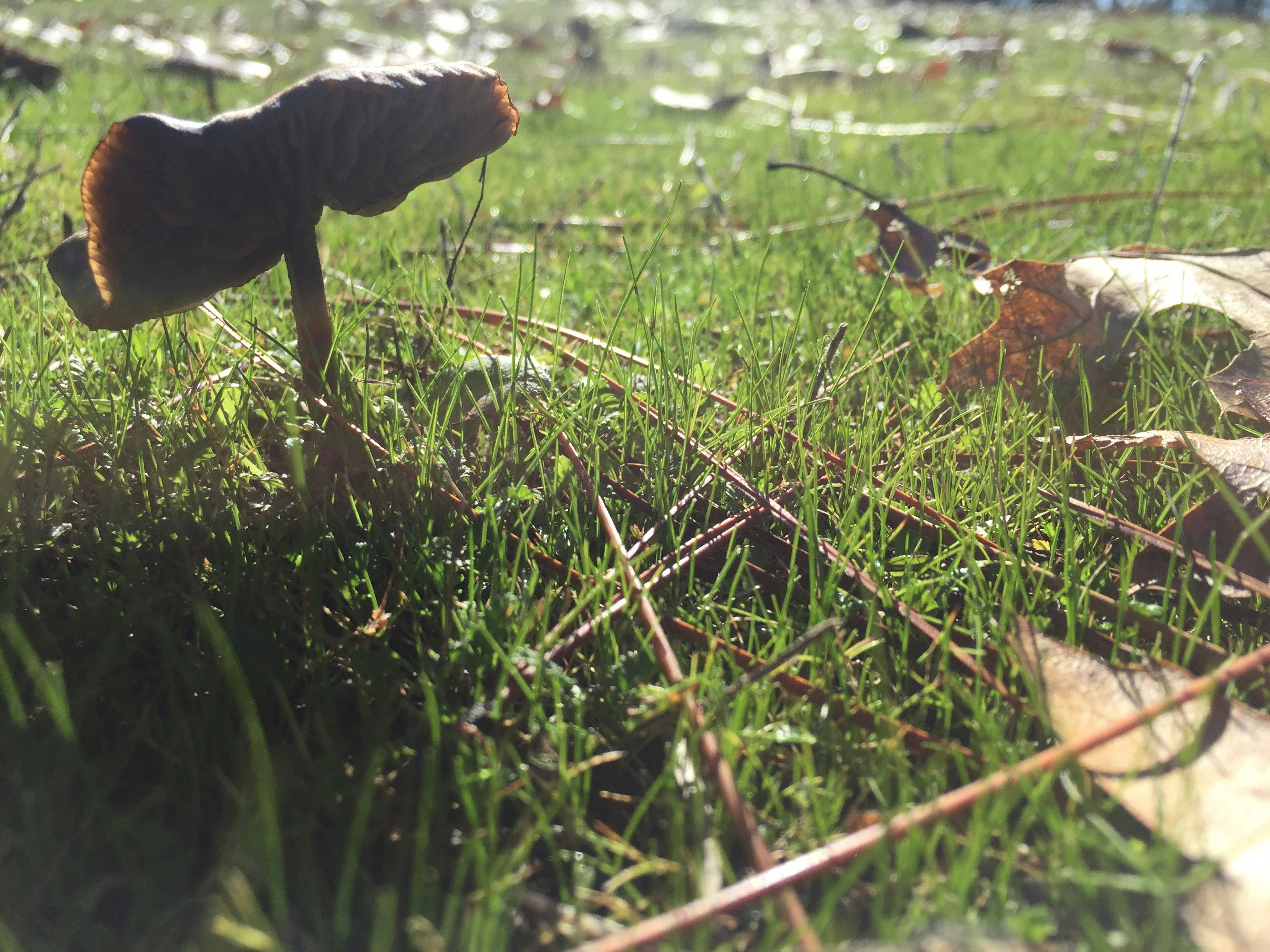 Free Unsplash photo from Cassie Redfern