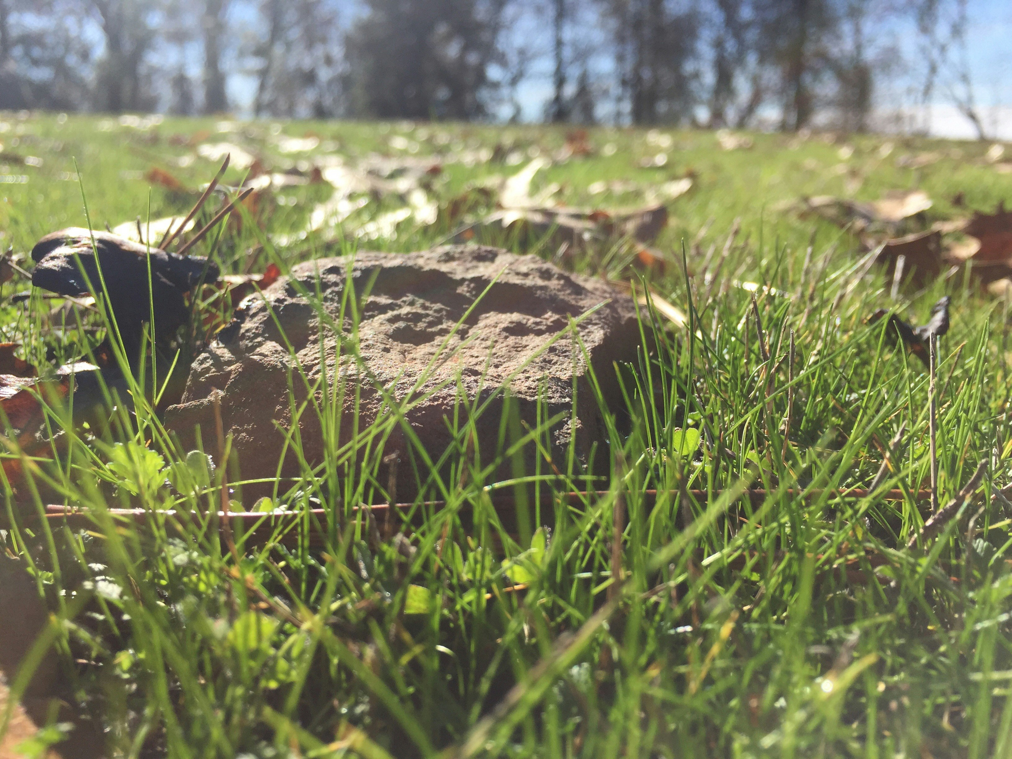 Free Unsplash photo from Cassie Redfern