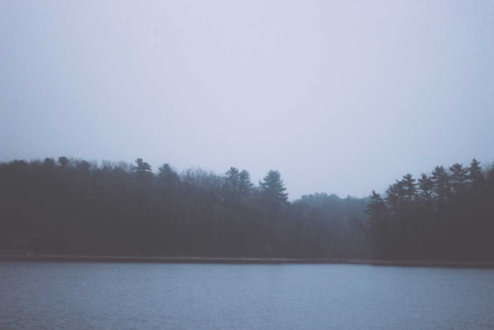 Lago na floresta