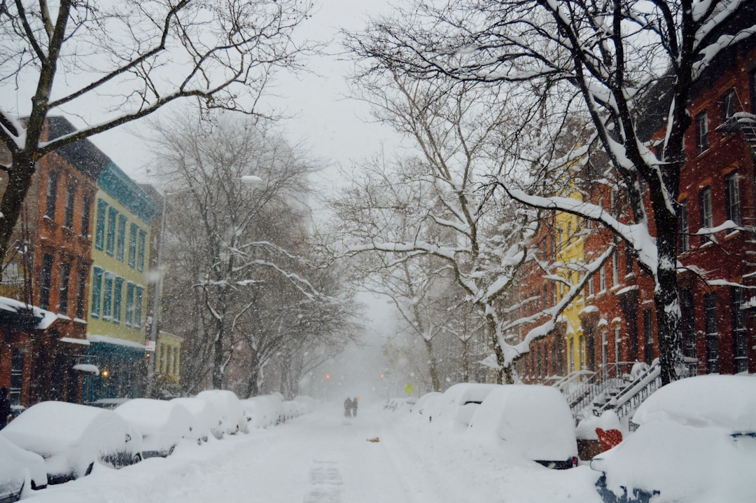 snow-covered road during daytime