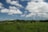 A vast countryside landscape with rolling green hills under a bright blue sky dotted with fluffy white clouds. Trees and shrubs are scattered across the scene, and there's a small building in the distance.