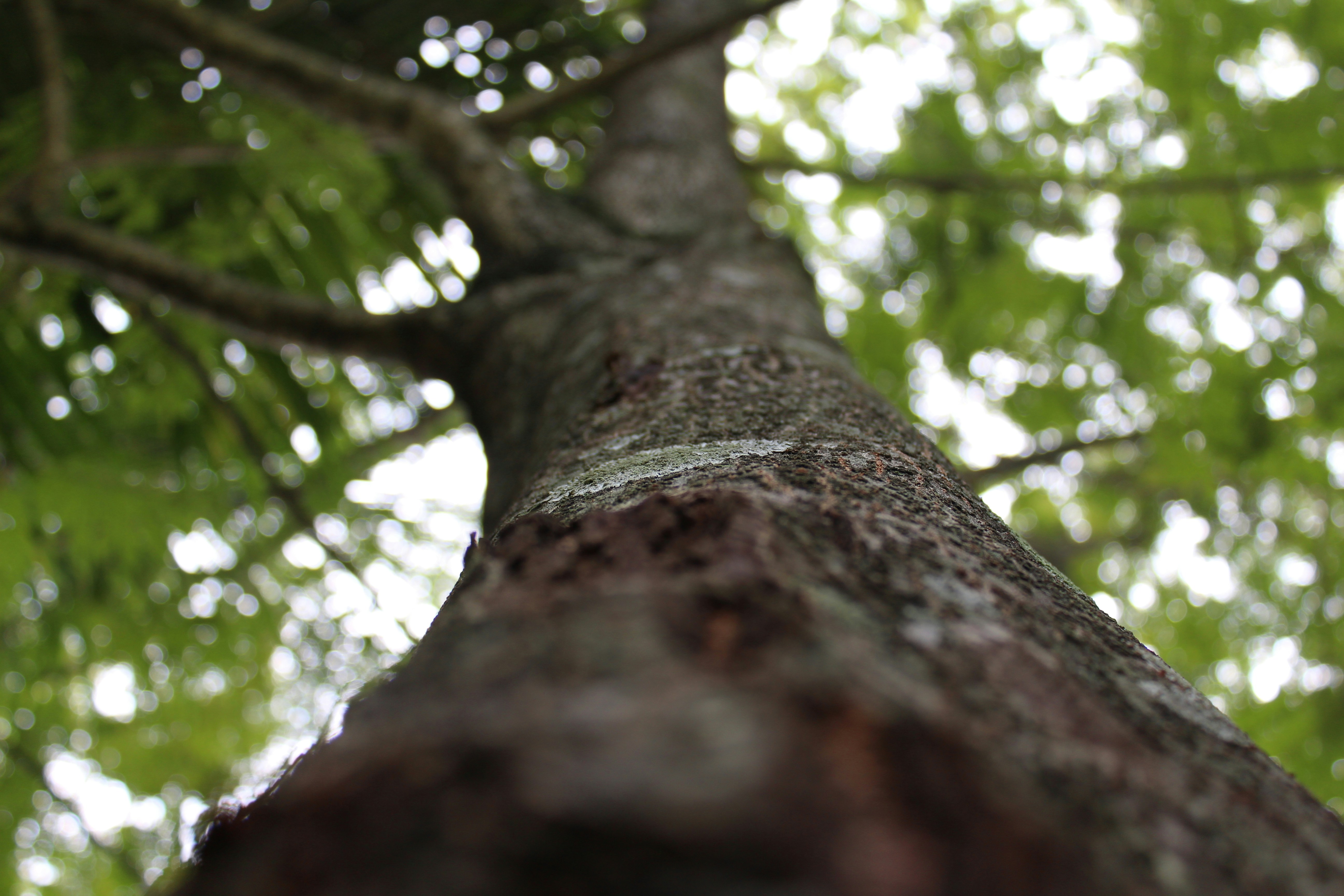 Free Unsplash photo from Burhanuddin Rabbani