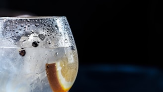 close-up photography of chilled wine glass with clear beverage and slice of lemon