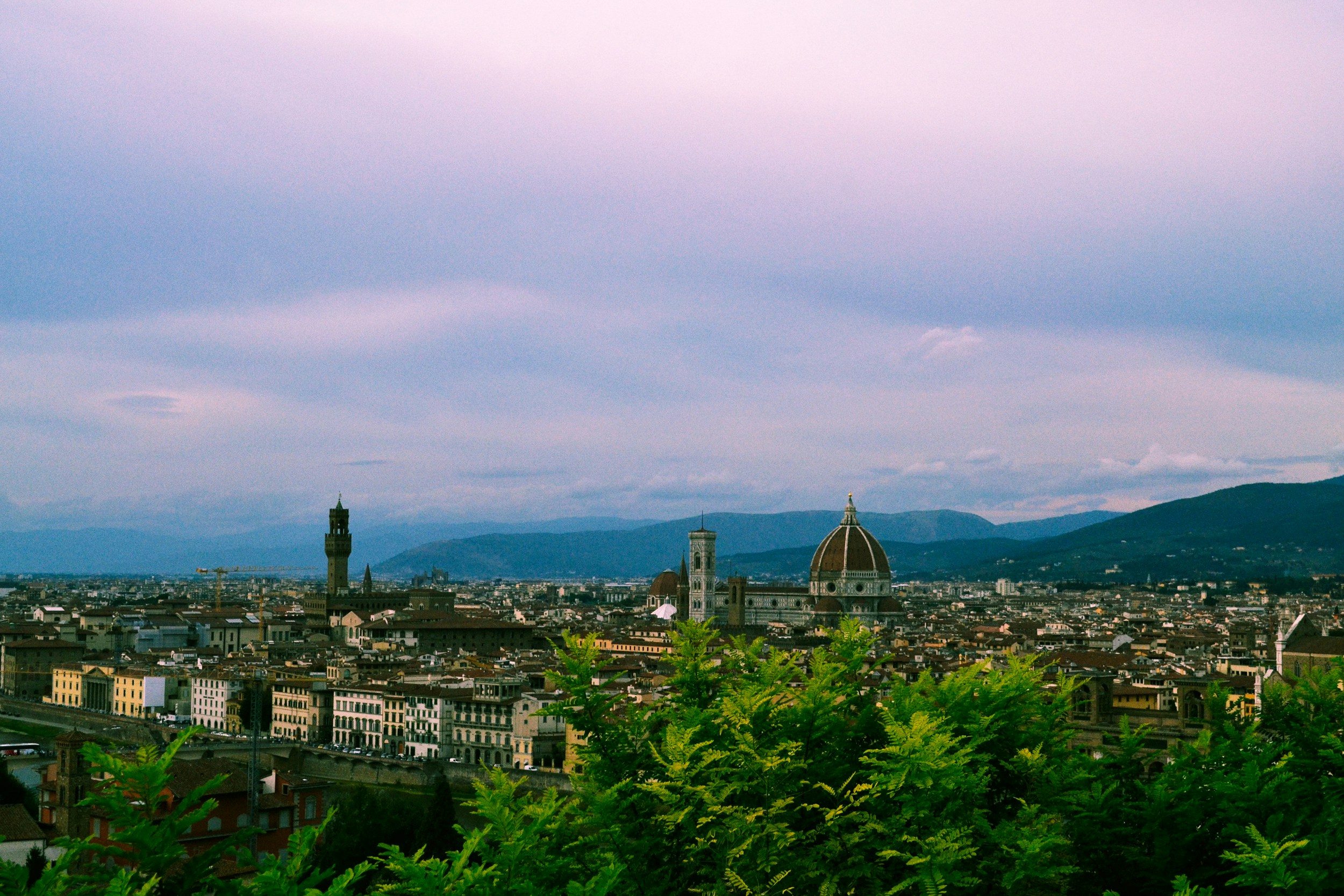 Free Unsplash photo from Sofia Sforza