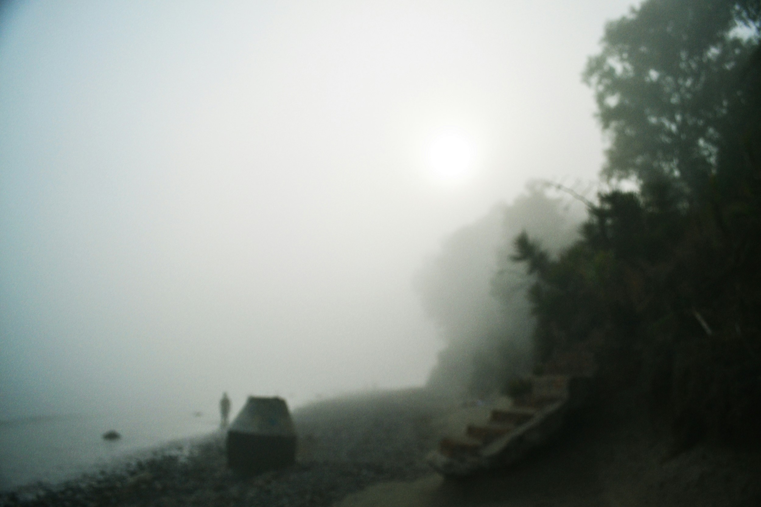 Free Unsplash photo from Sofia Sforza