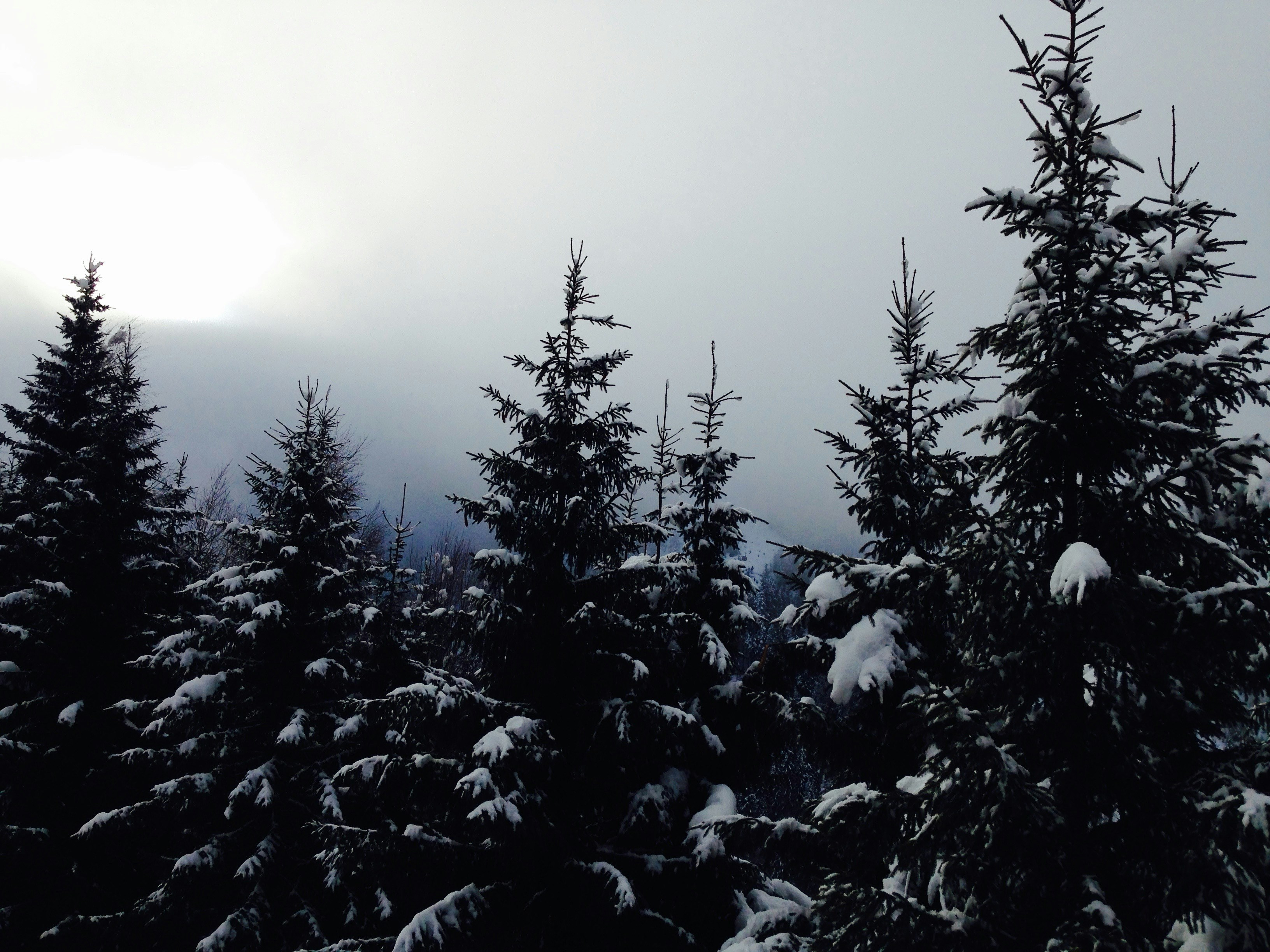 Free Unsplash photo from Emily Morter