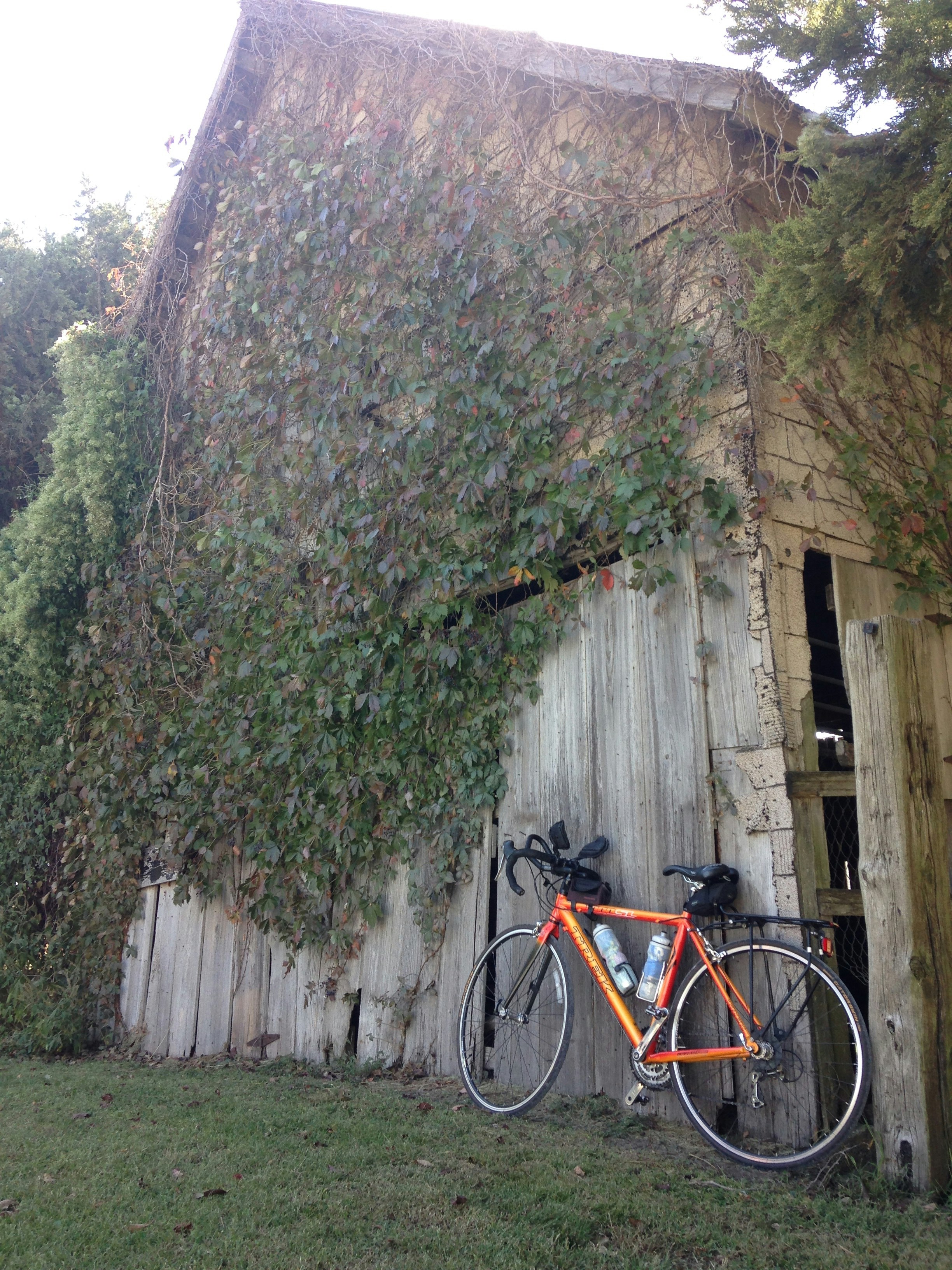 Free Unsplash photo from Kimberly Hawks